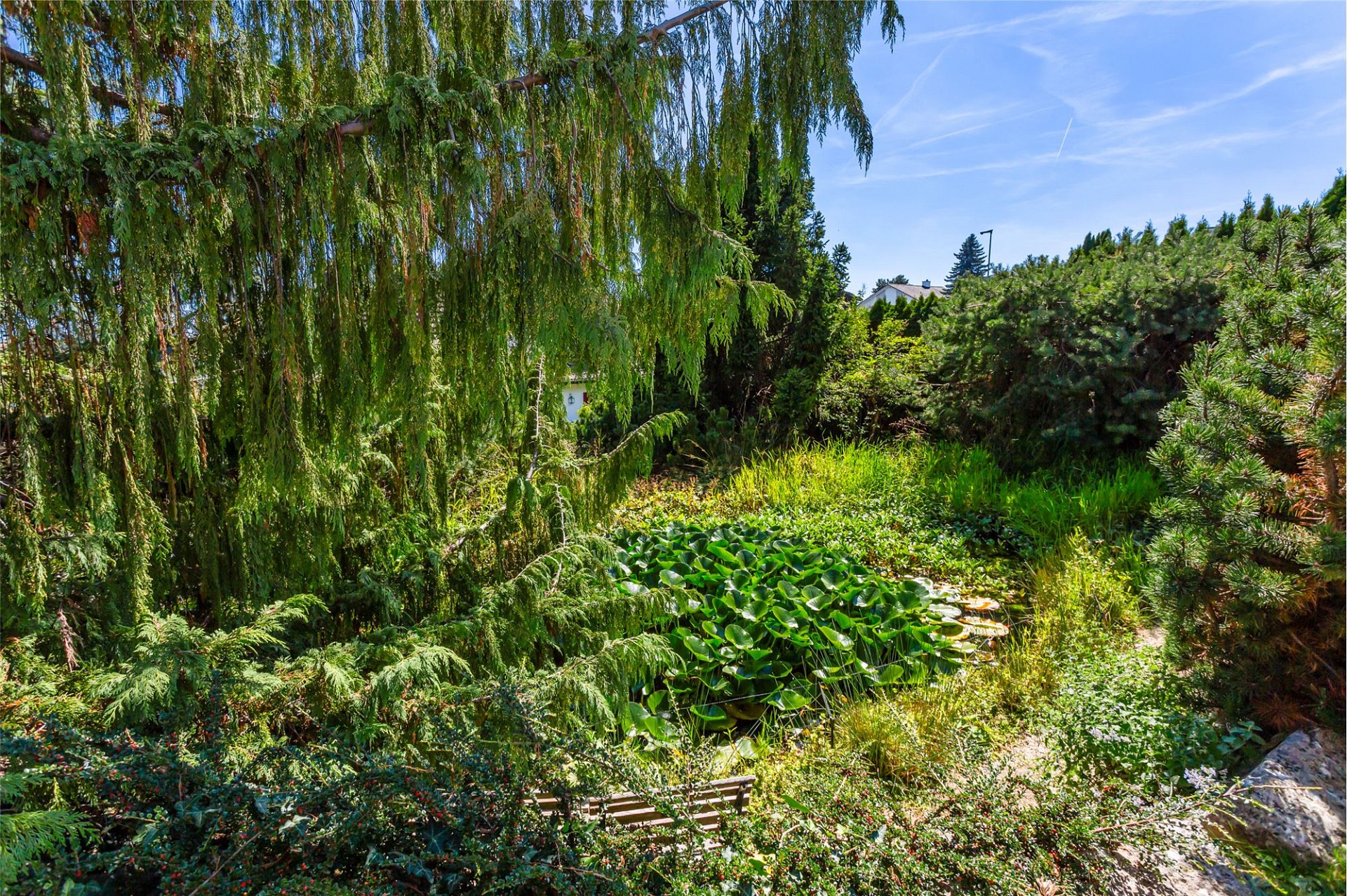Üppiger Garten mit dichter Bepflanzung