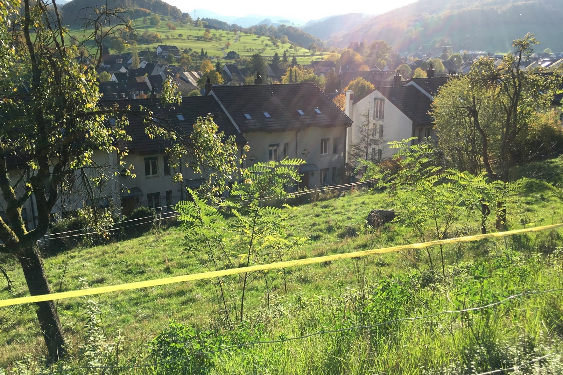 Hanglage mit Blick ins Tal