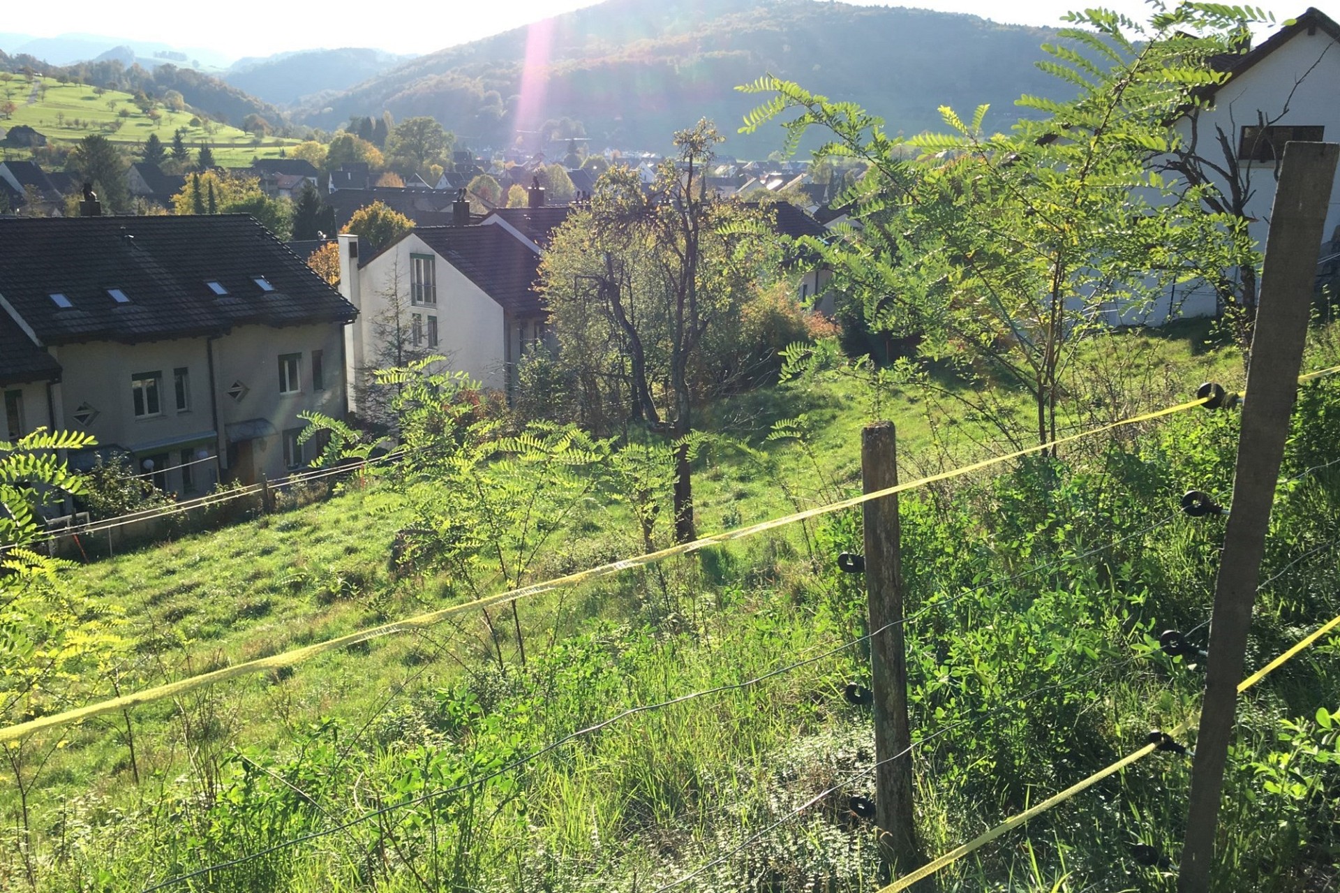 Ländliche Hanglage mit Ausblick auf Wohnhäuser und Tal