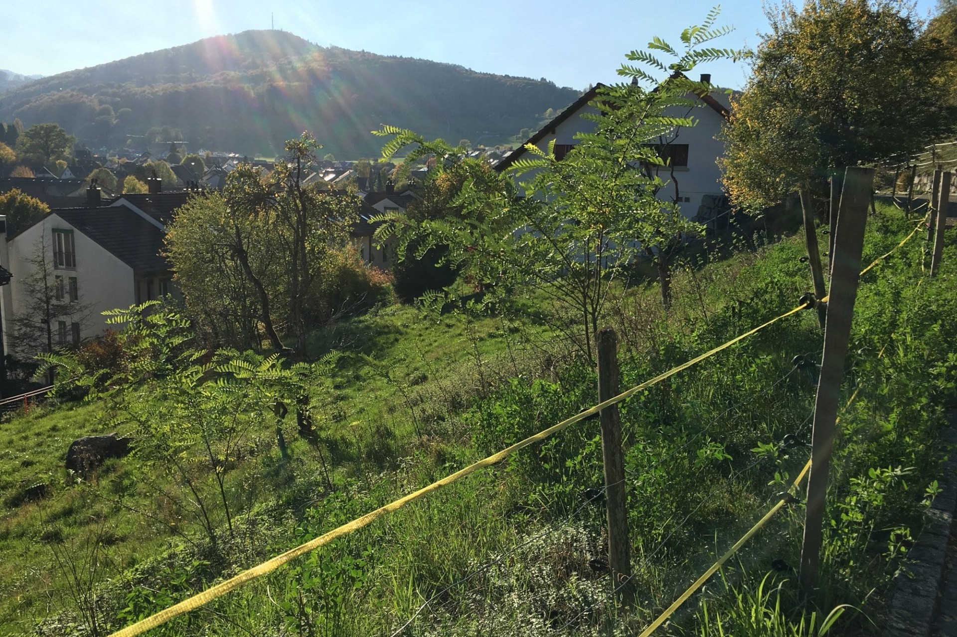 Hanggrundstück mit Bergblick