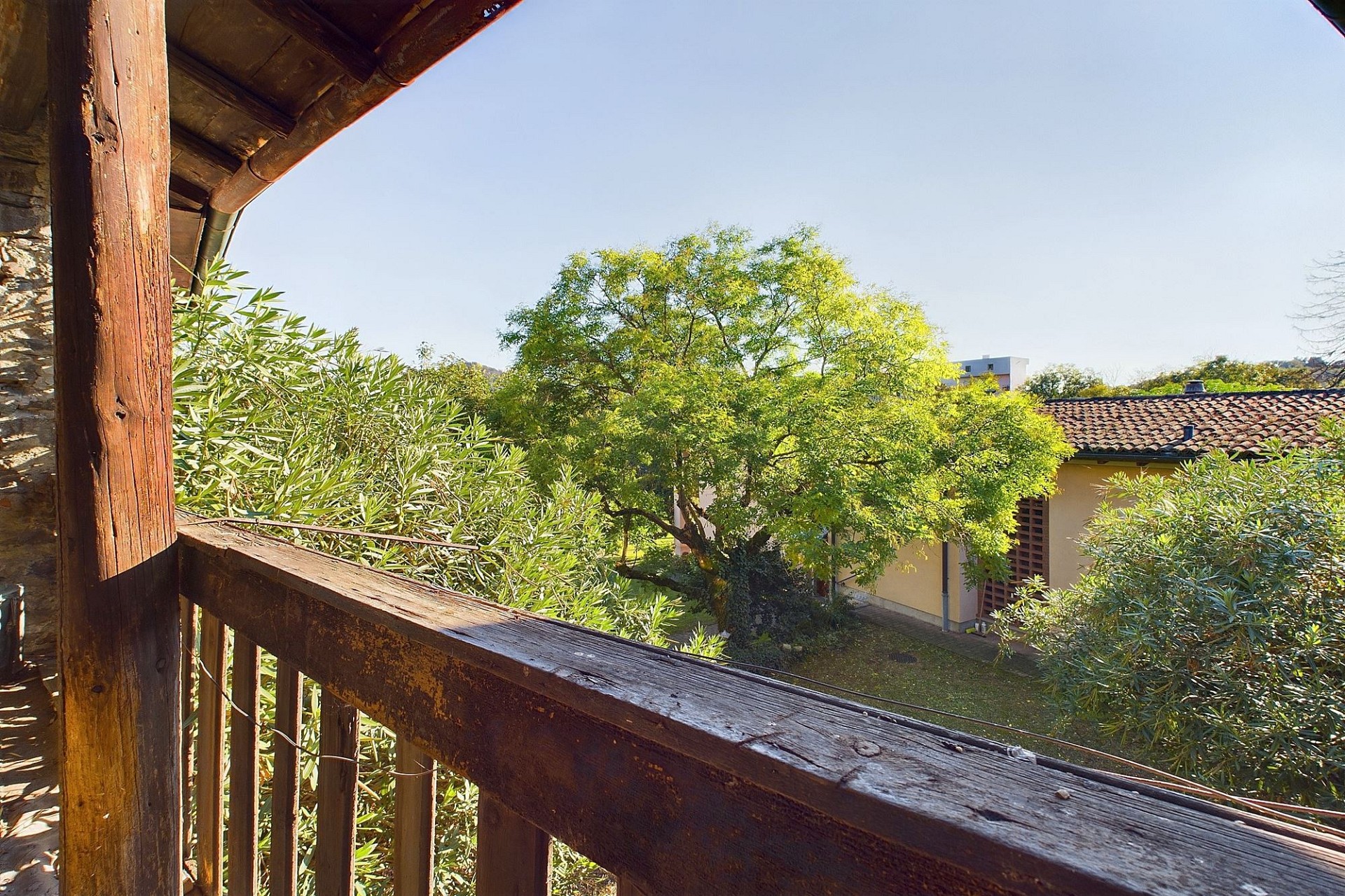 Blick vom Balkon ins Grüne