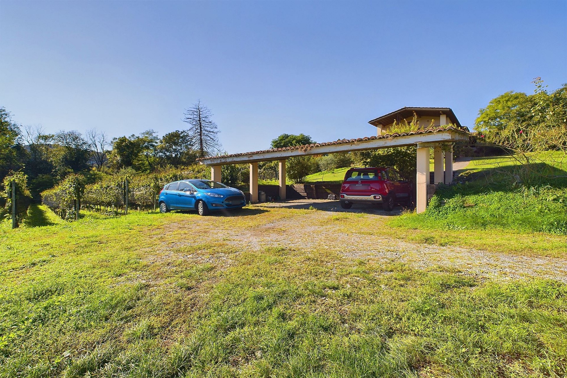Carport auf ländlichem Grundstück