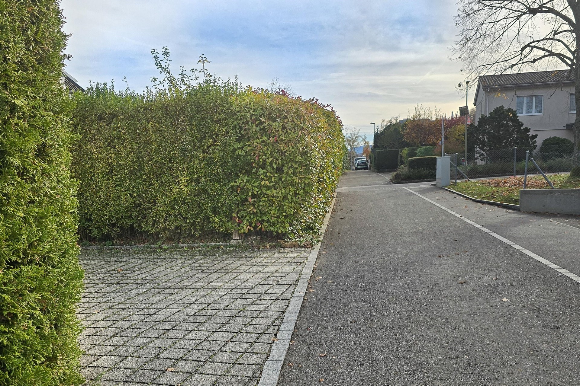 Ruhige Wohnstraße mit Hecken und Gehweg