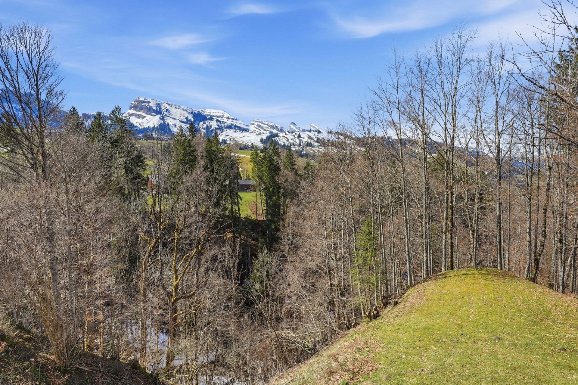 Alpenblick über bewaldete Hänge