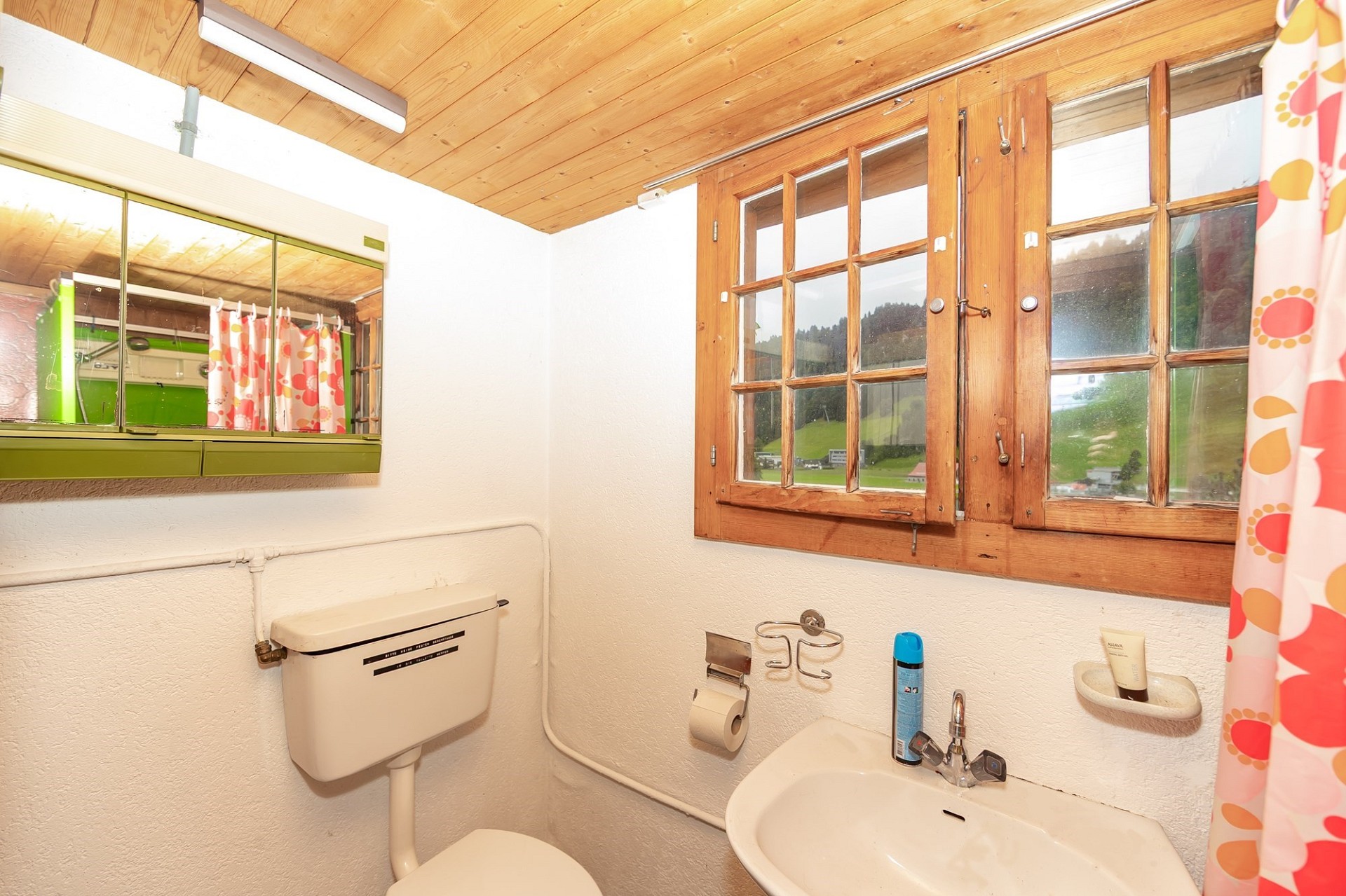Kleines Bad mit Holzdecke und Sprossenfenstern