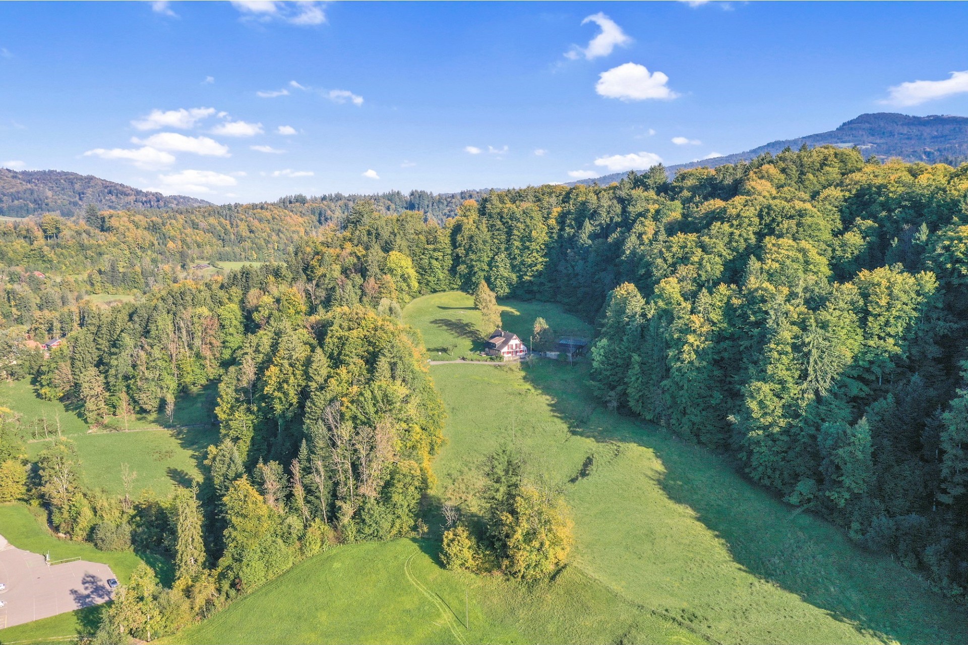Luftaufnahme einer grünen Tal- und Waldlandschaft