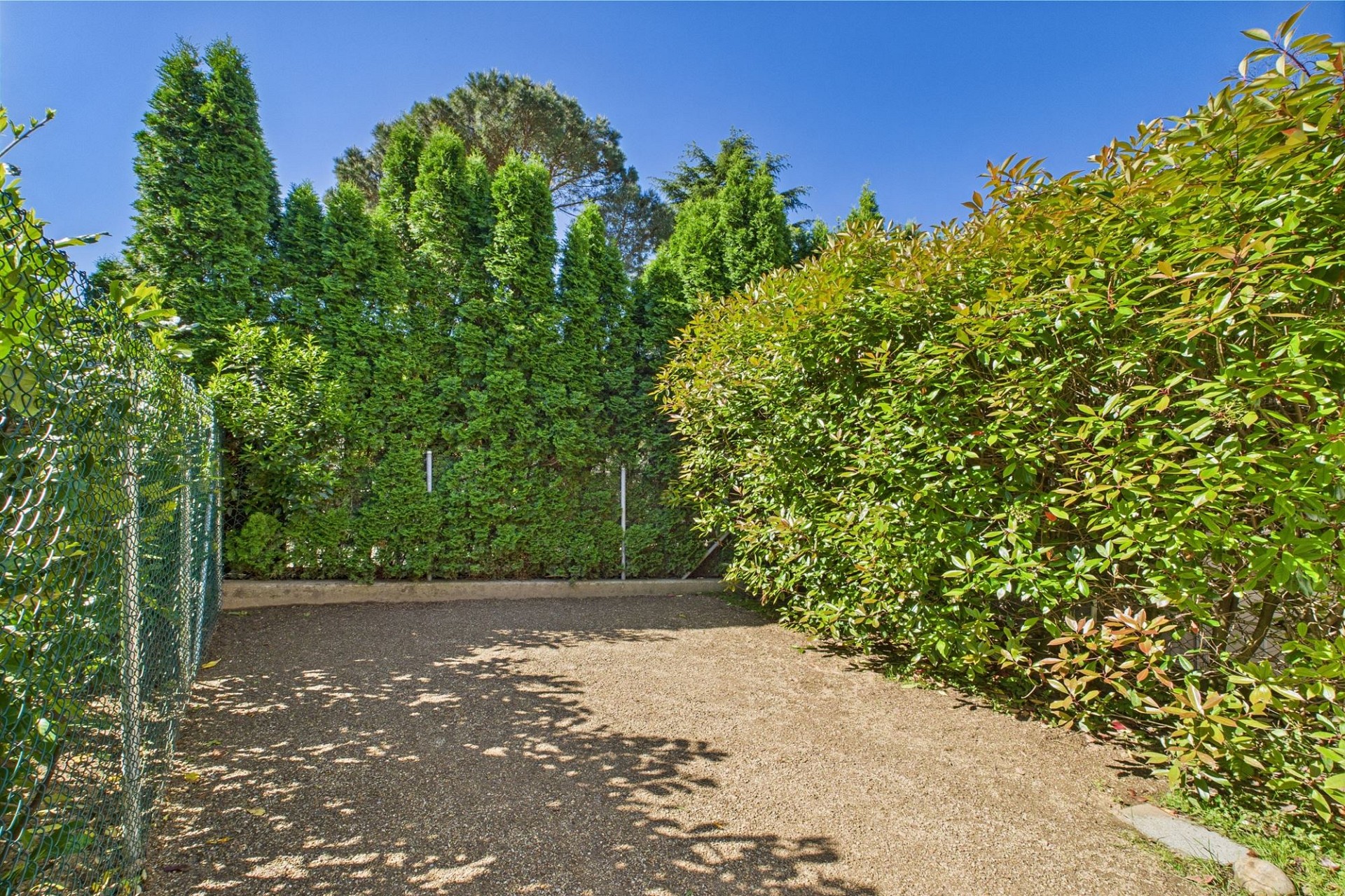 Gepflegter Gartenbereich mit Zufahrt