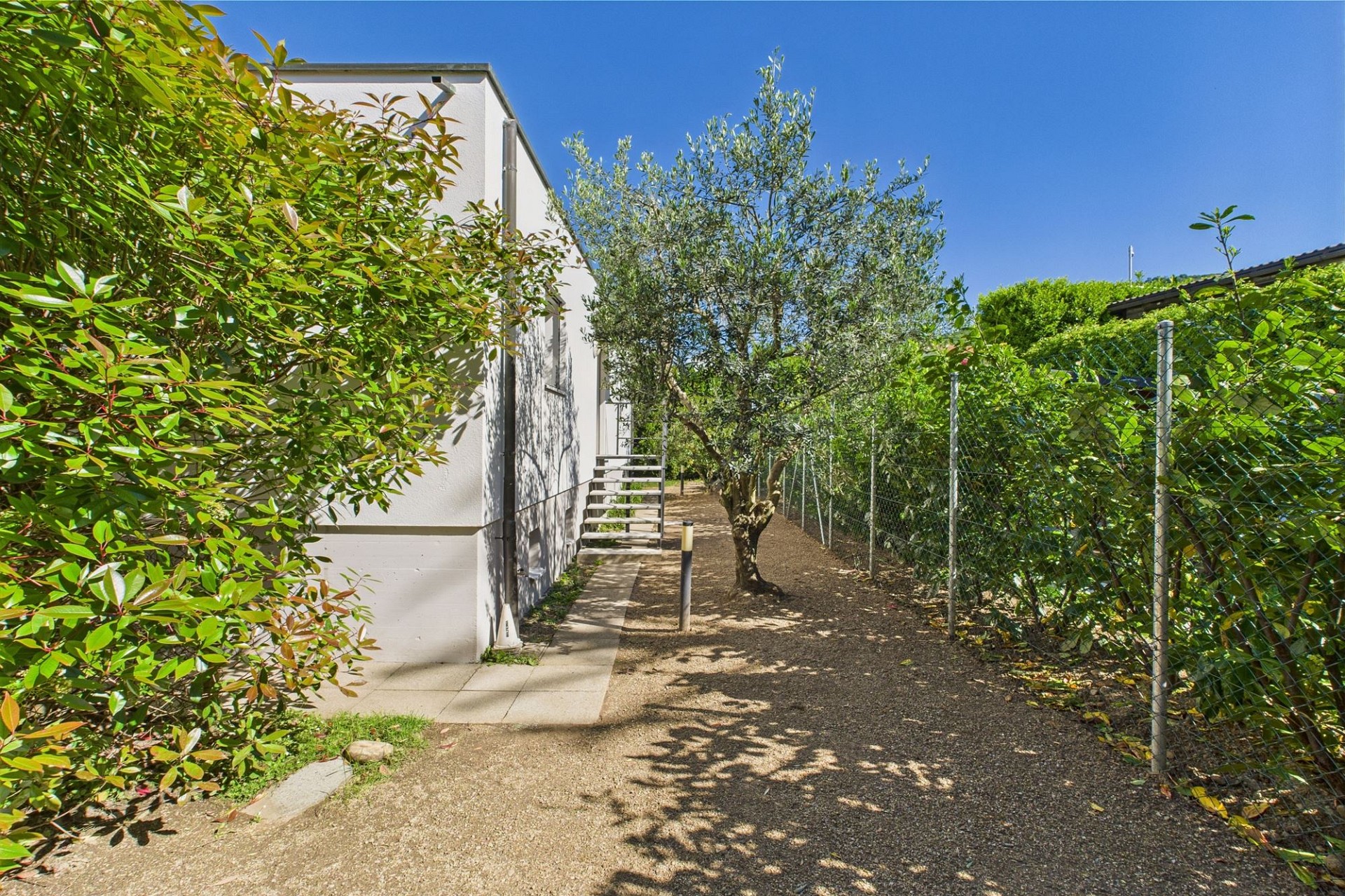 Außenansicht eines seitlichen Garten- und Zugangsbereichs
