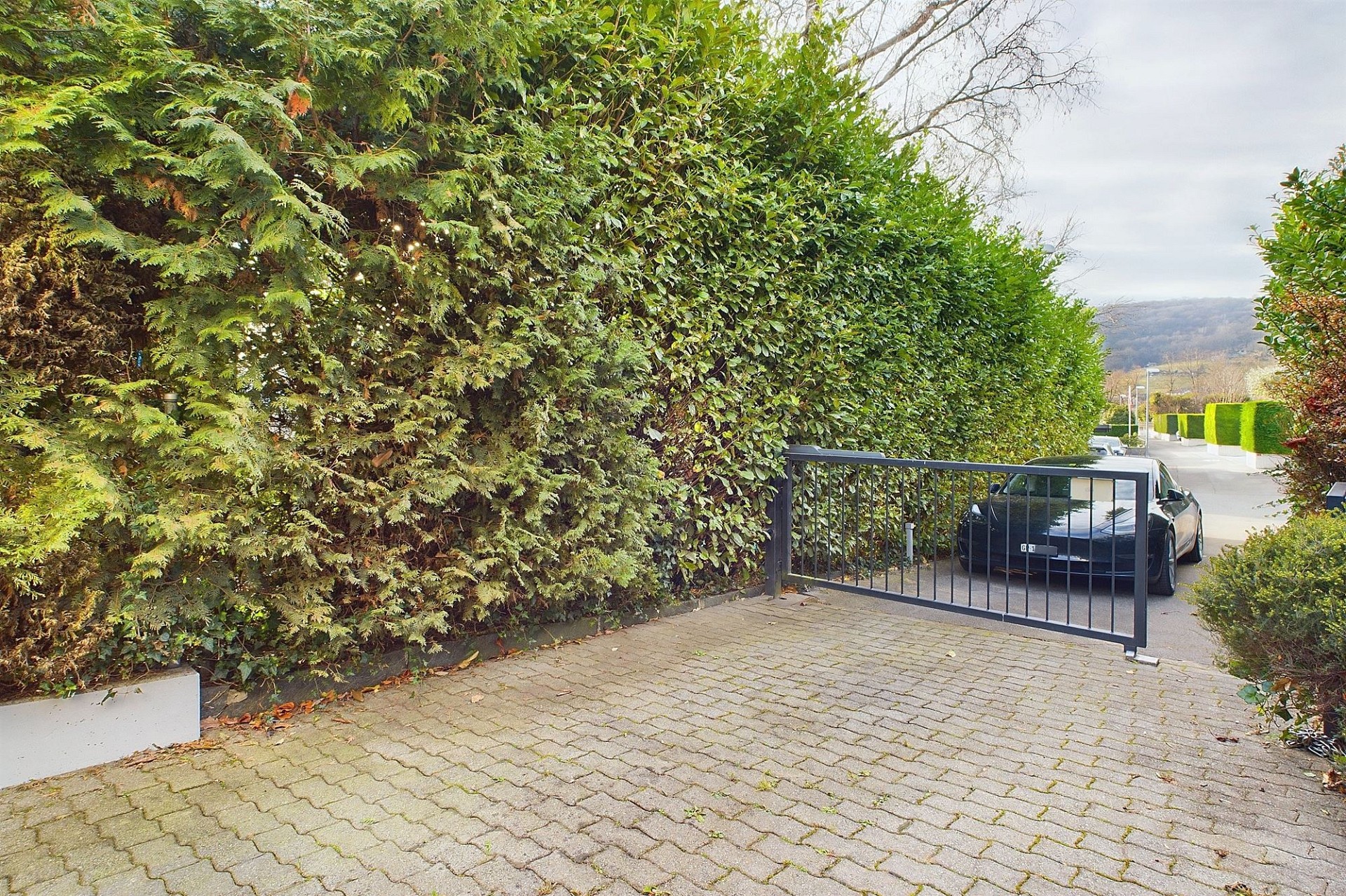 Einfahrt mit Tor und hoher Hecke