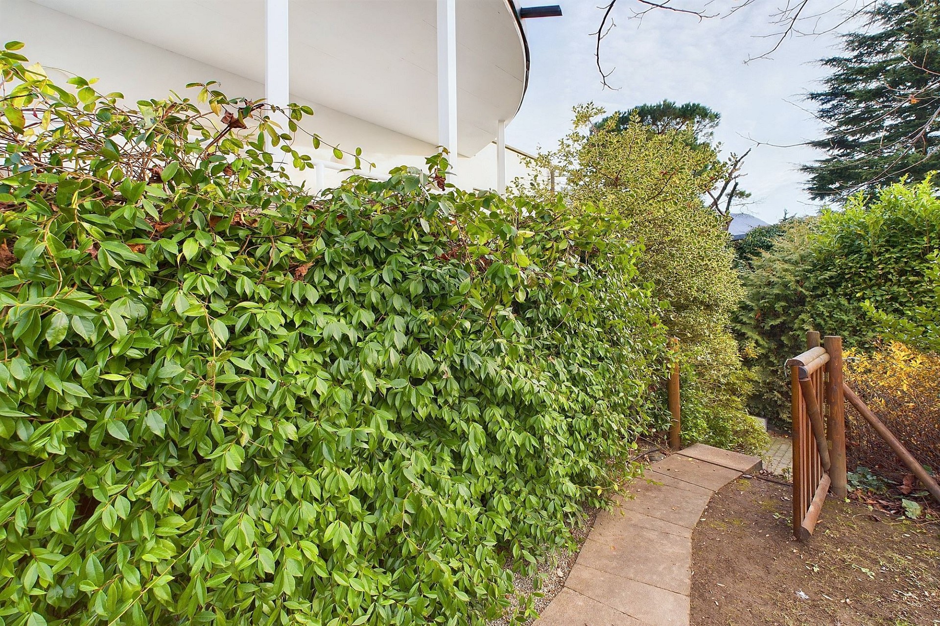 Gartenweg neben dichter Hecke