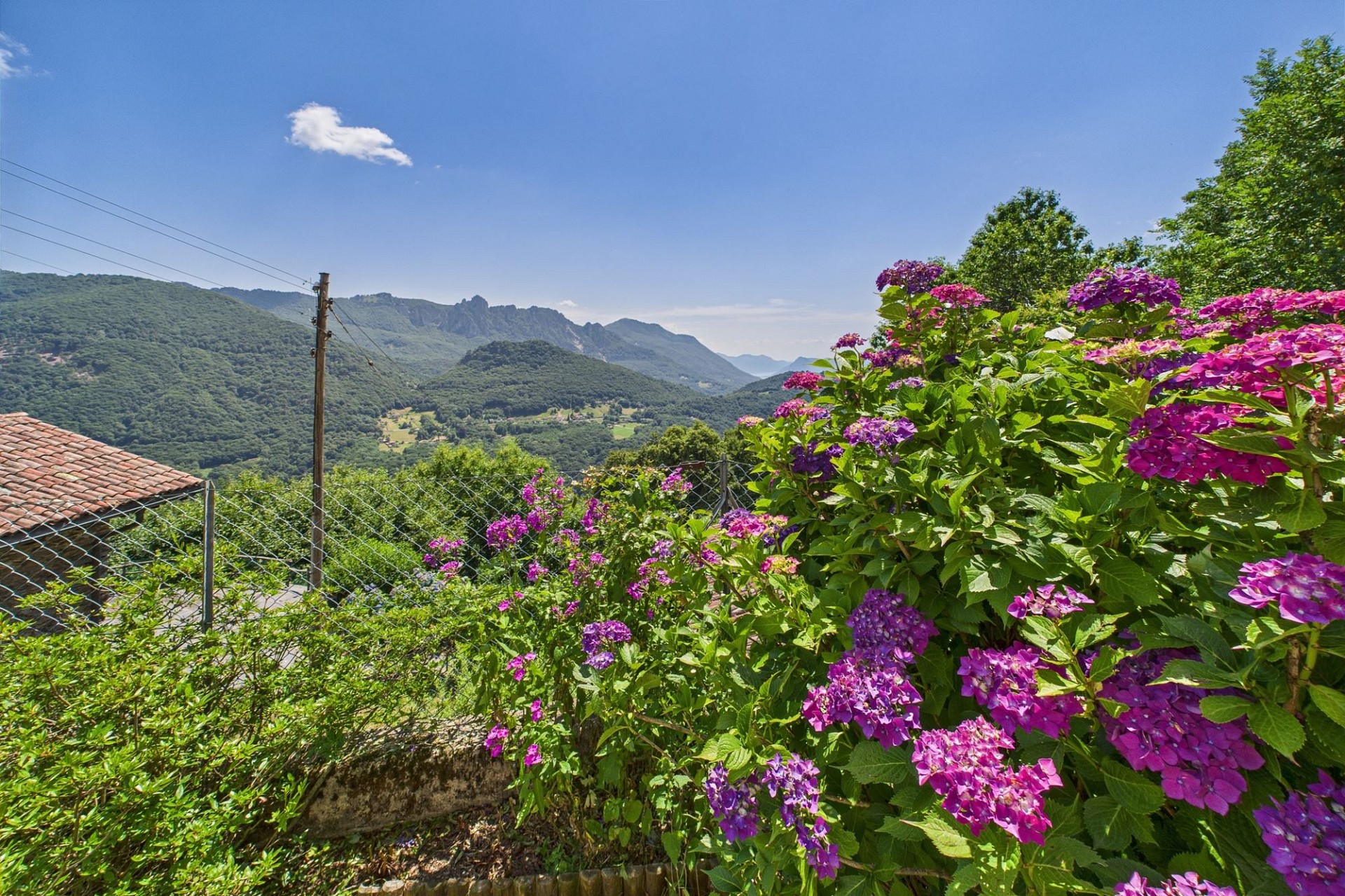 Garten mit Bergblick