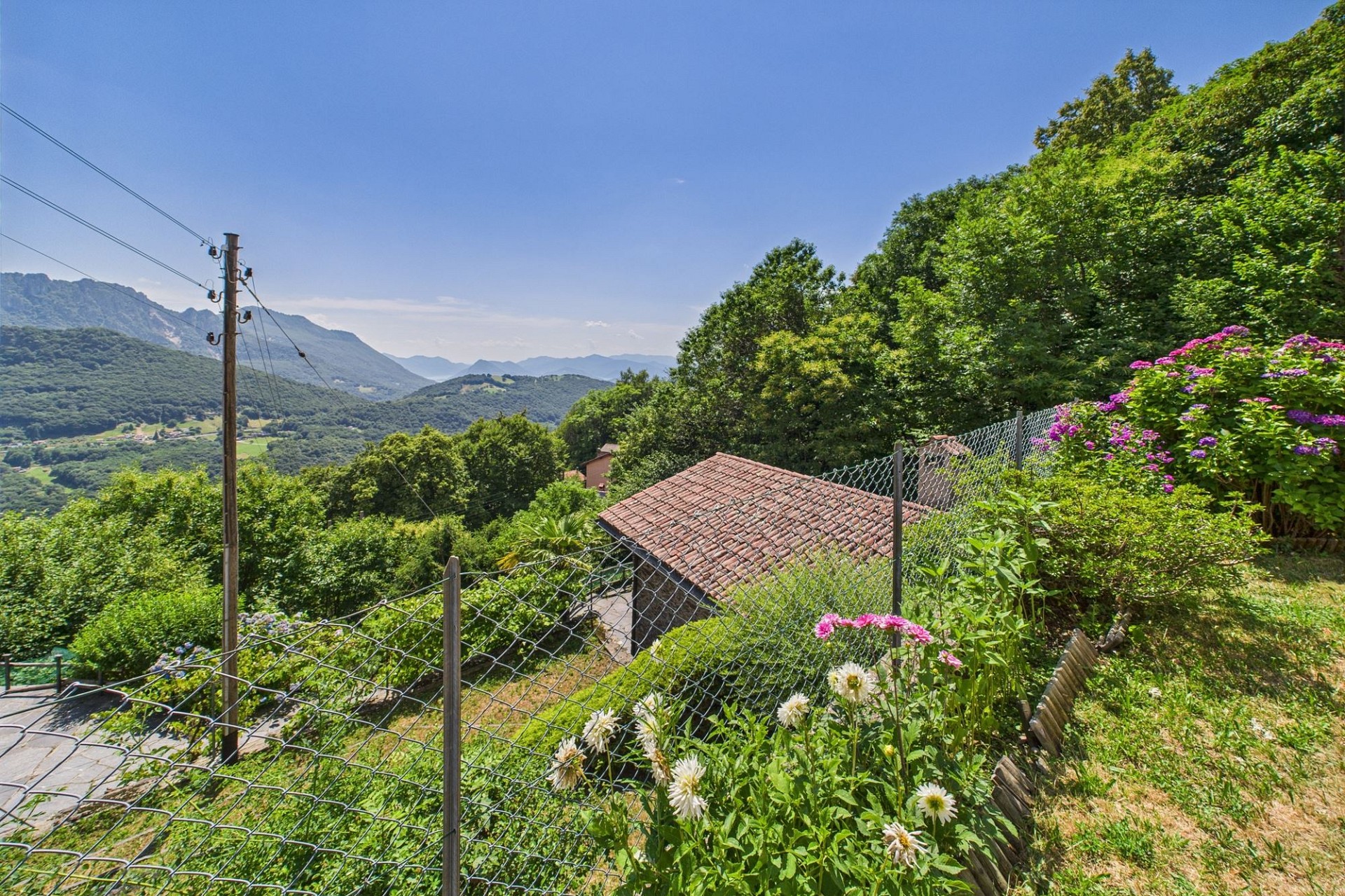Bergblick über einen begrünten Hang