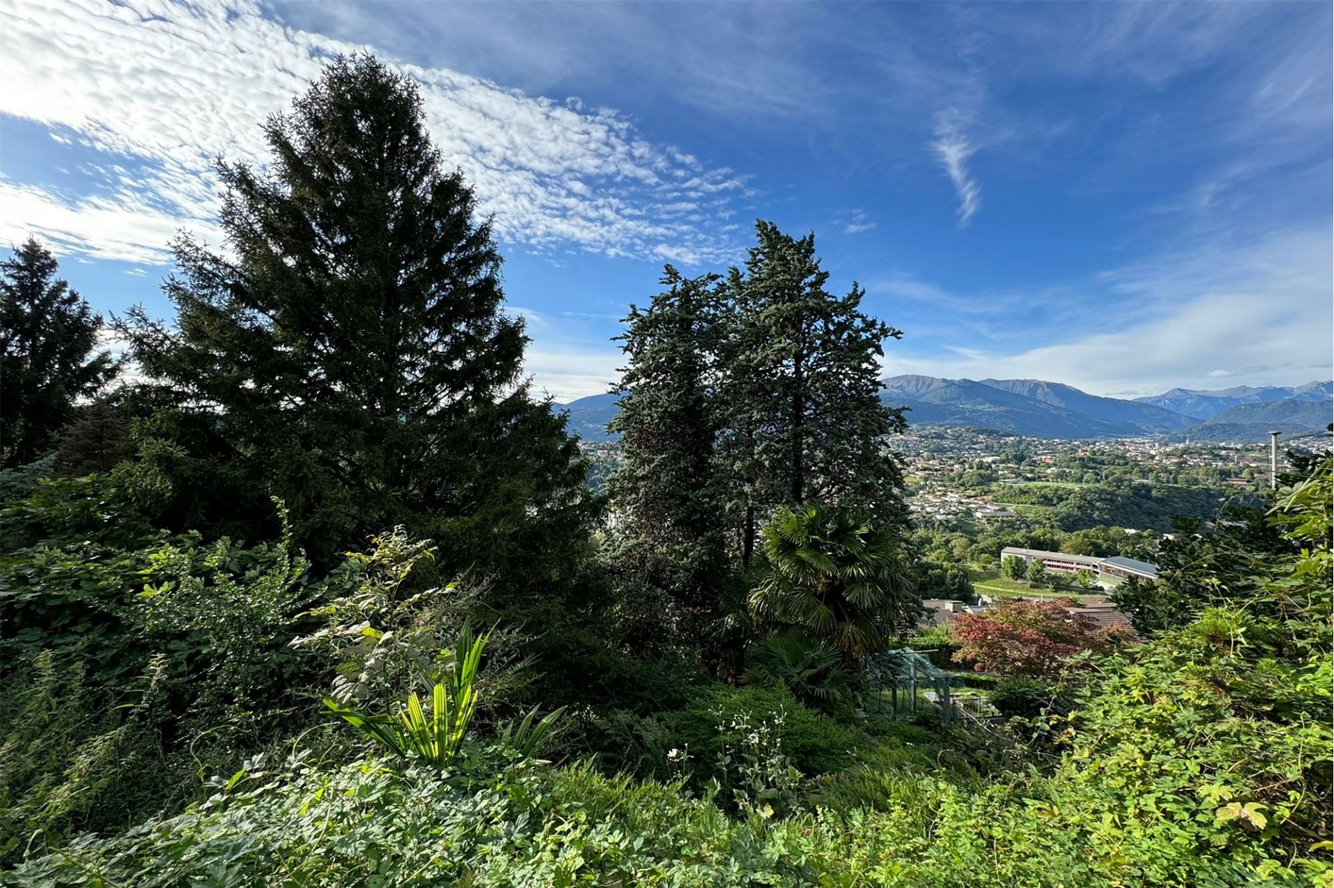 Weitblick über grüne Landschaft mit Bergen