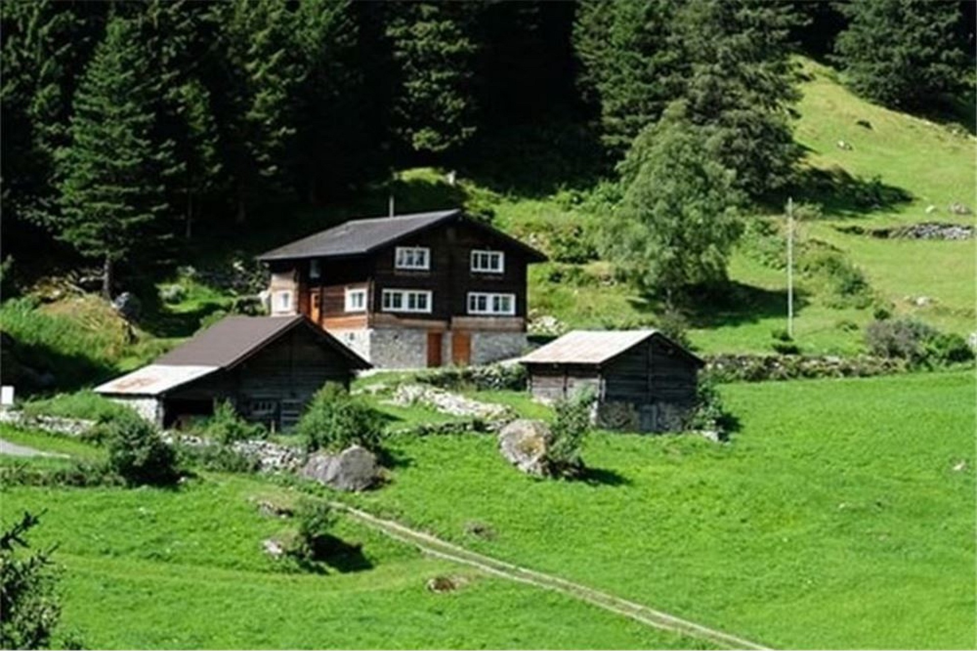 Alpines Haus im Grünen