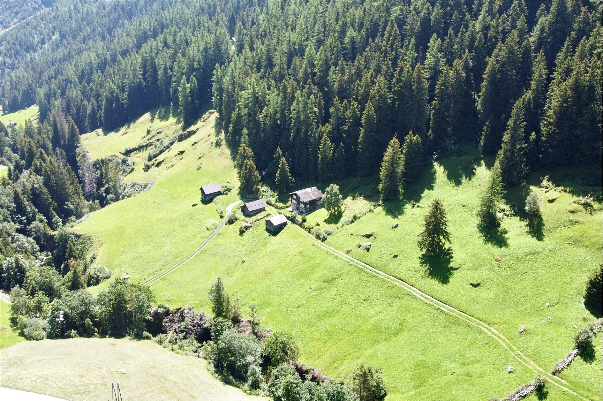 Almwiese mit Bergbauernhof aus der Luft