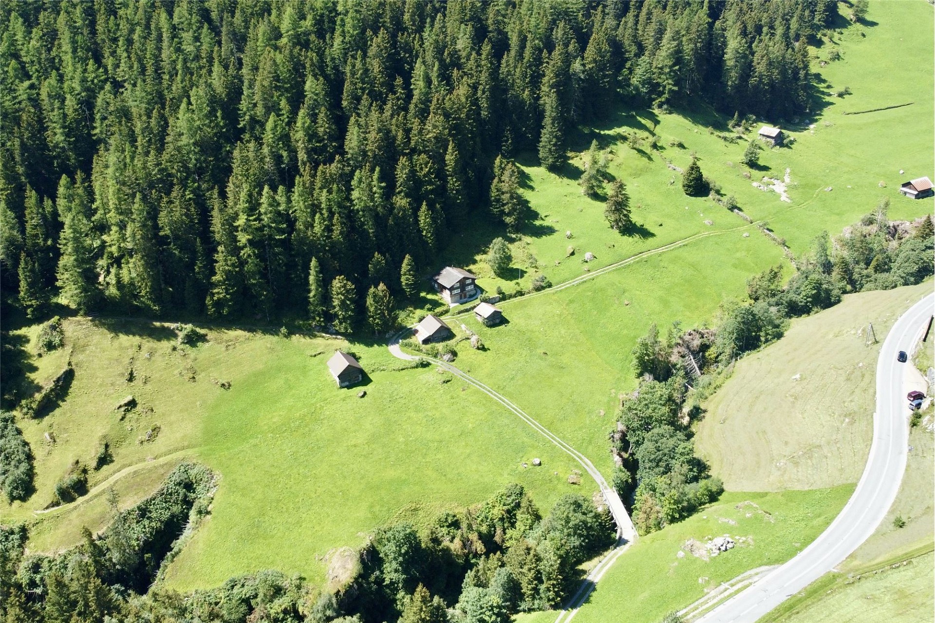 Luftaufnahme einer grünen Alm- und Waldlandschaft