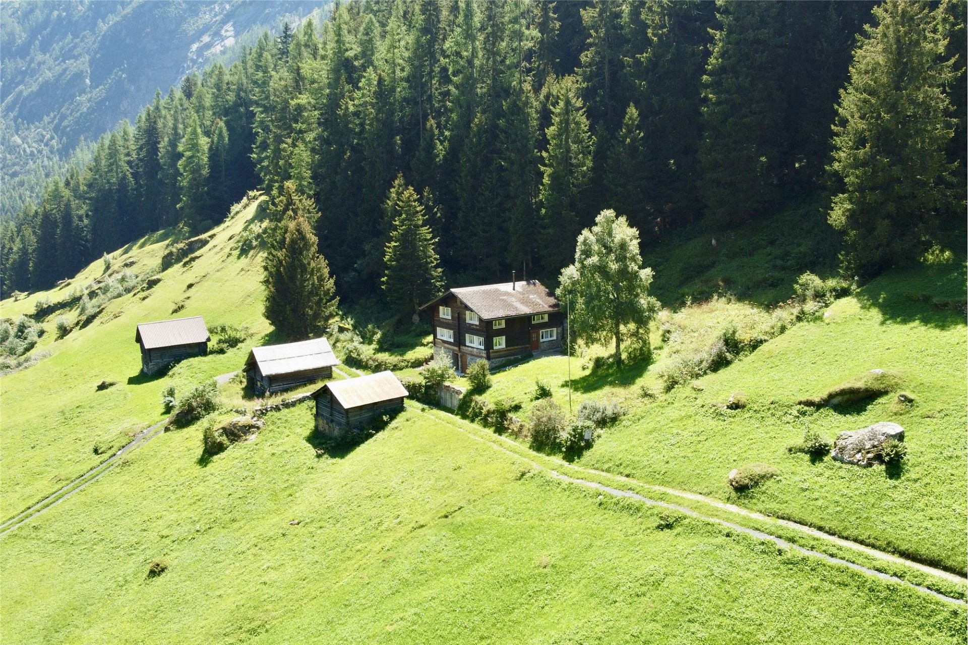 Alpine-Hof mit Nebengebäuden