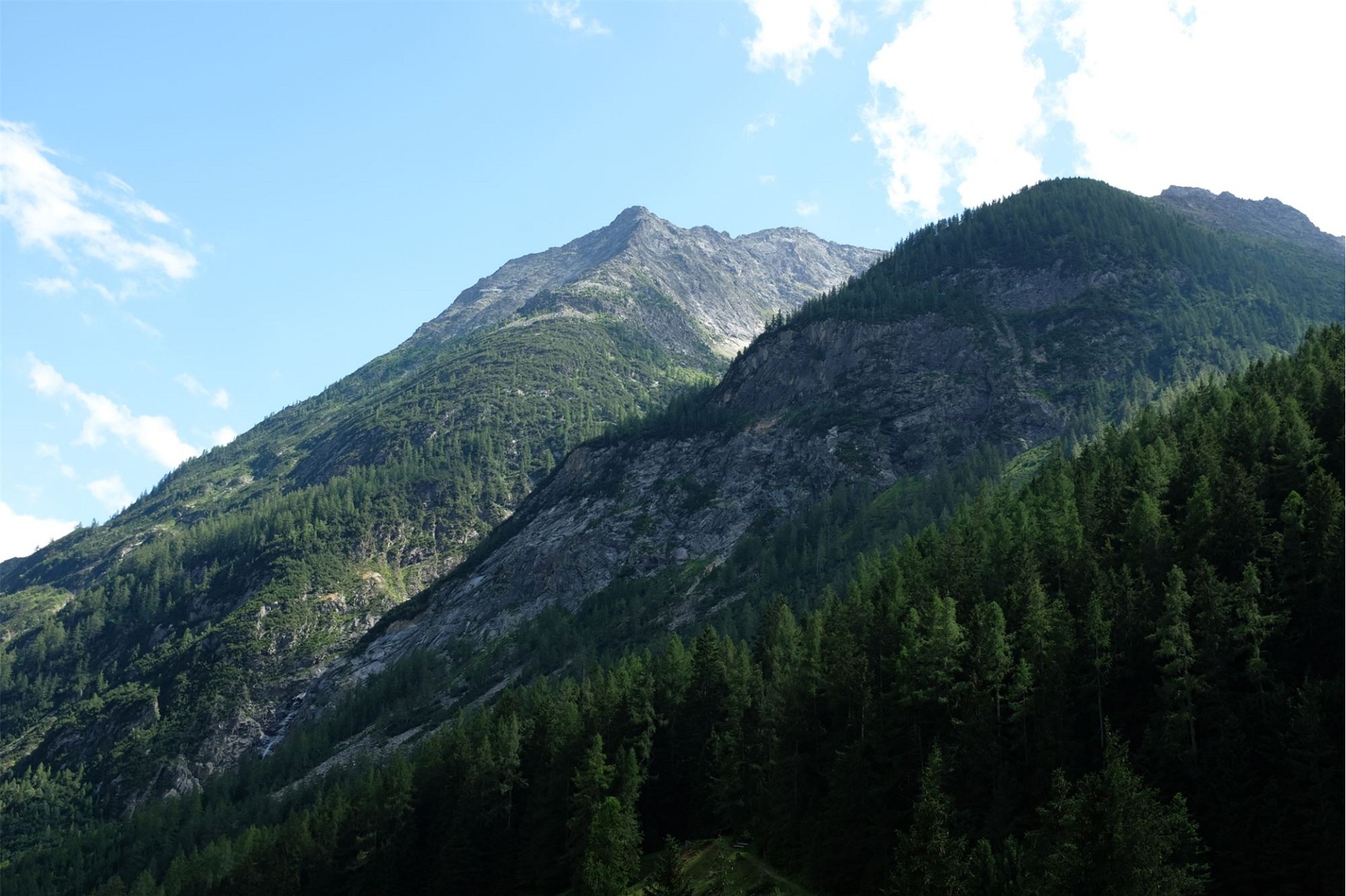 Berglandschaft mit bewaldeten Hängen