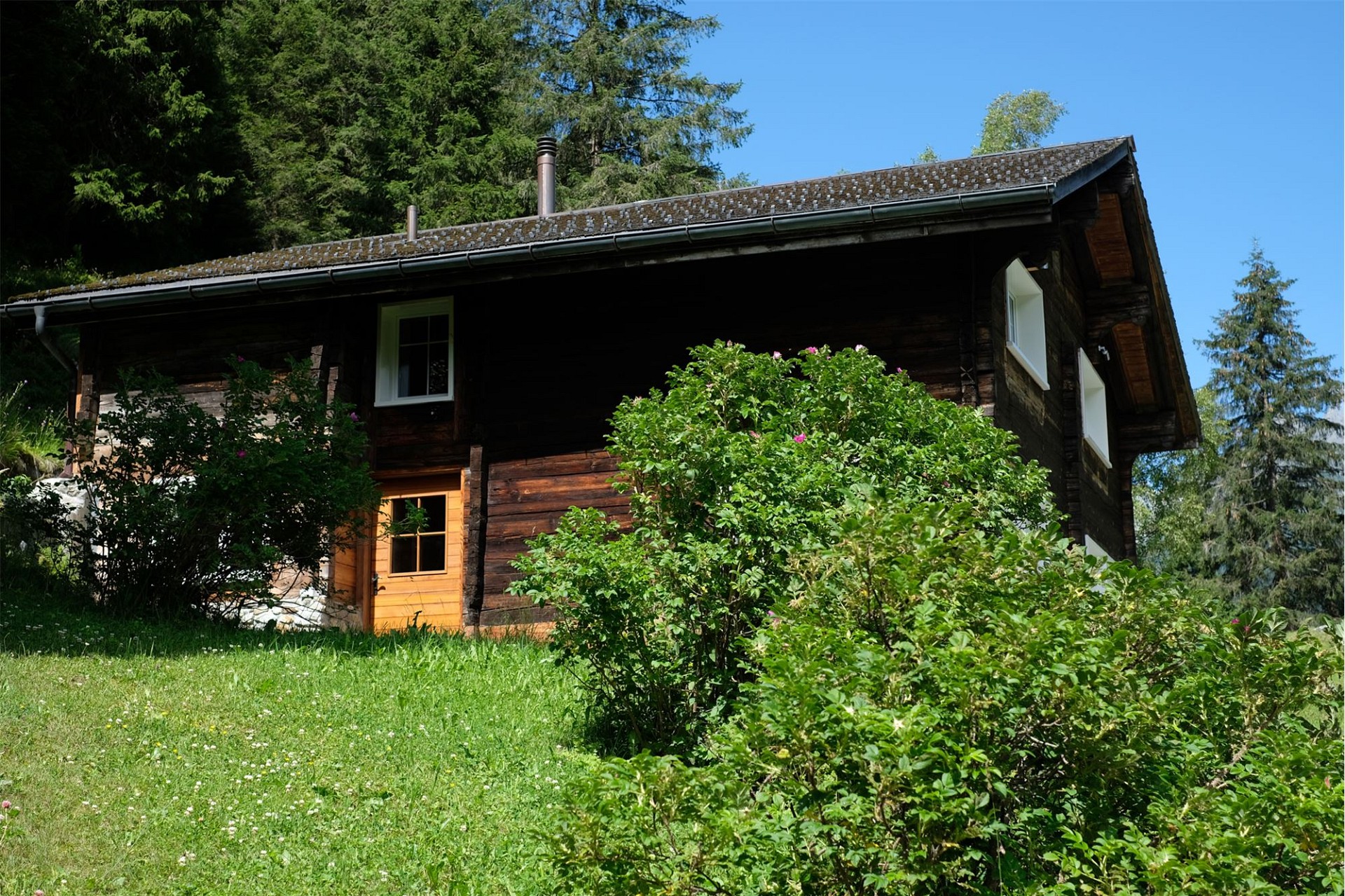 Rustikales Holzhaus im Grünen