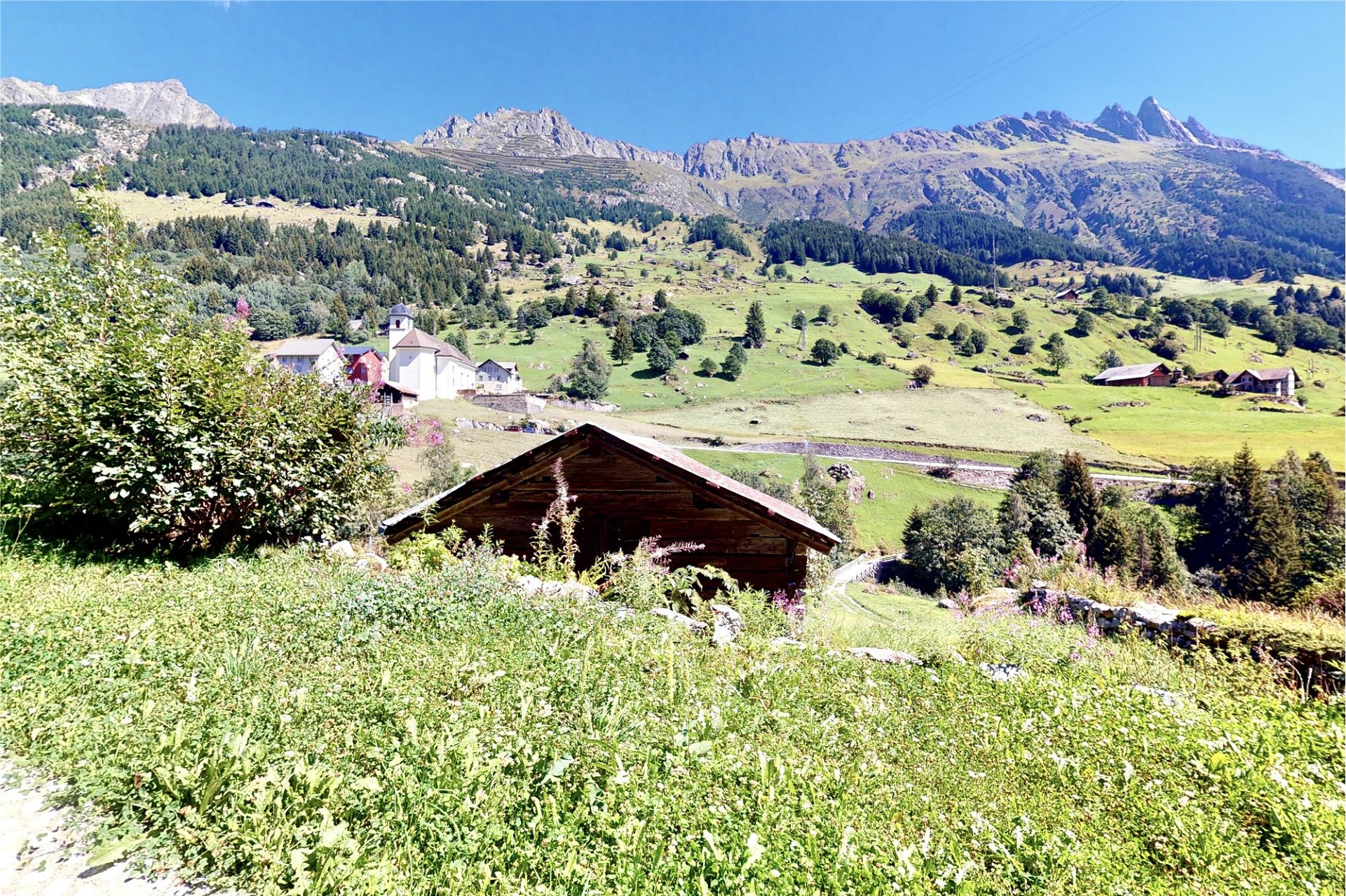 Alpine Landschaft mit Talblick