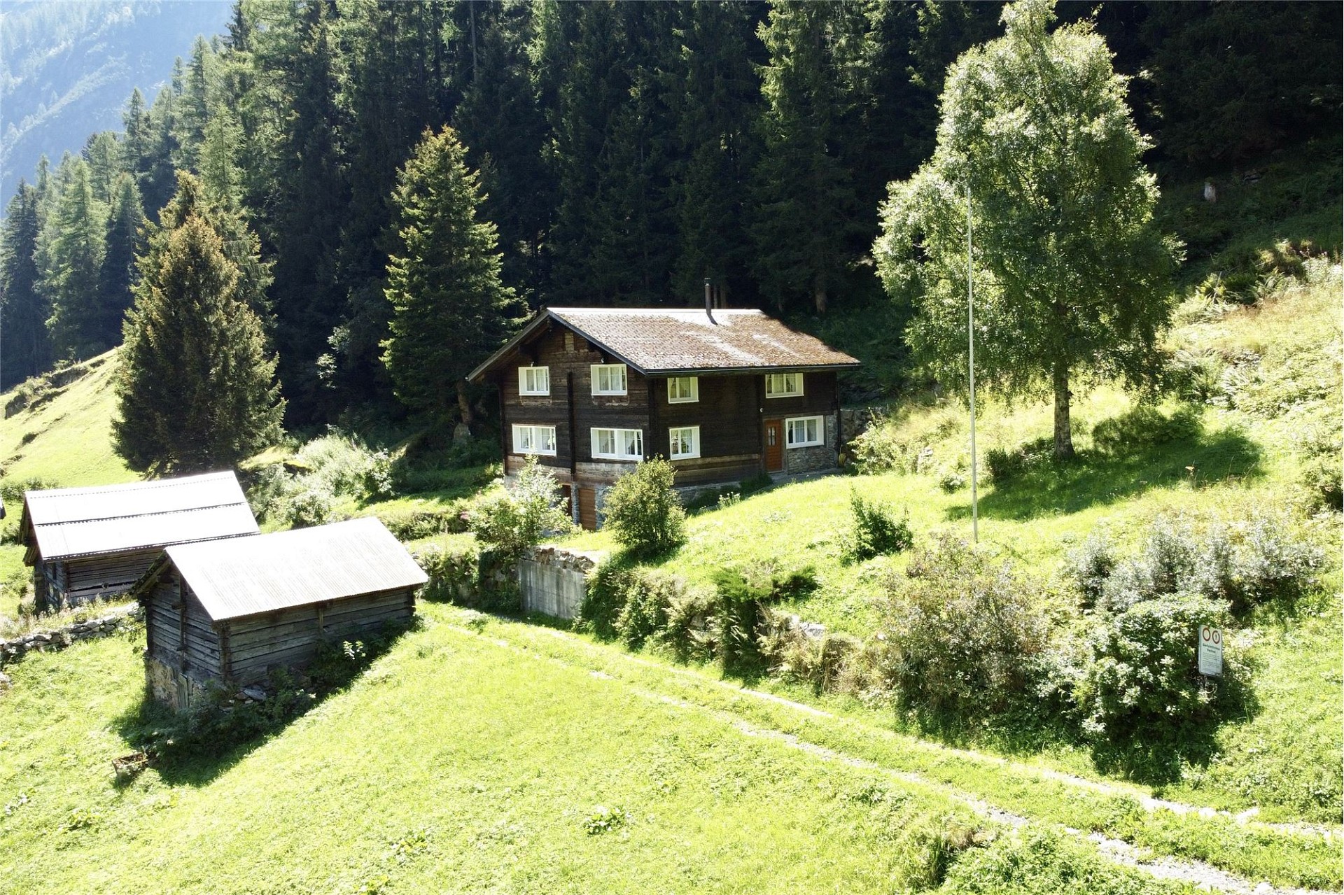 Alpenhaus auf grüner Hanglage