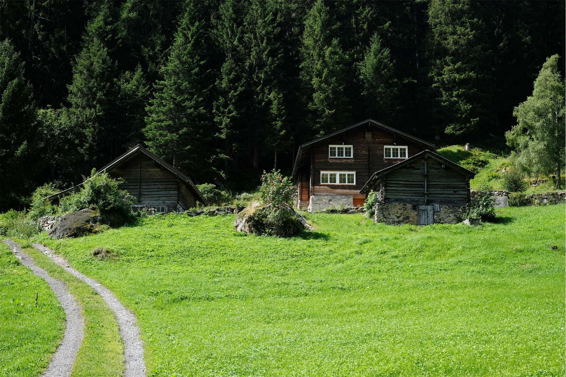 Alpine Hütte im Wald