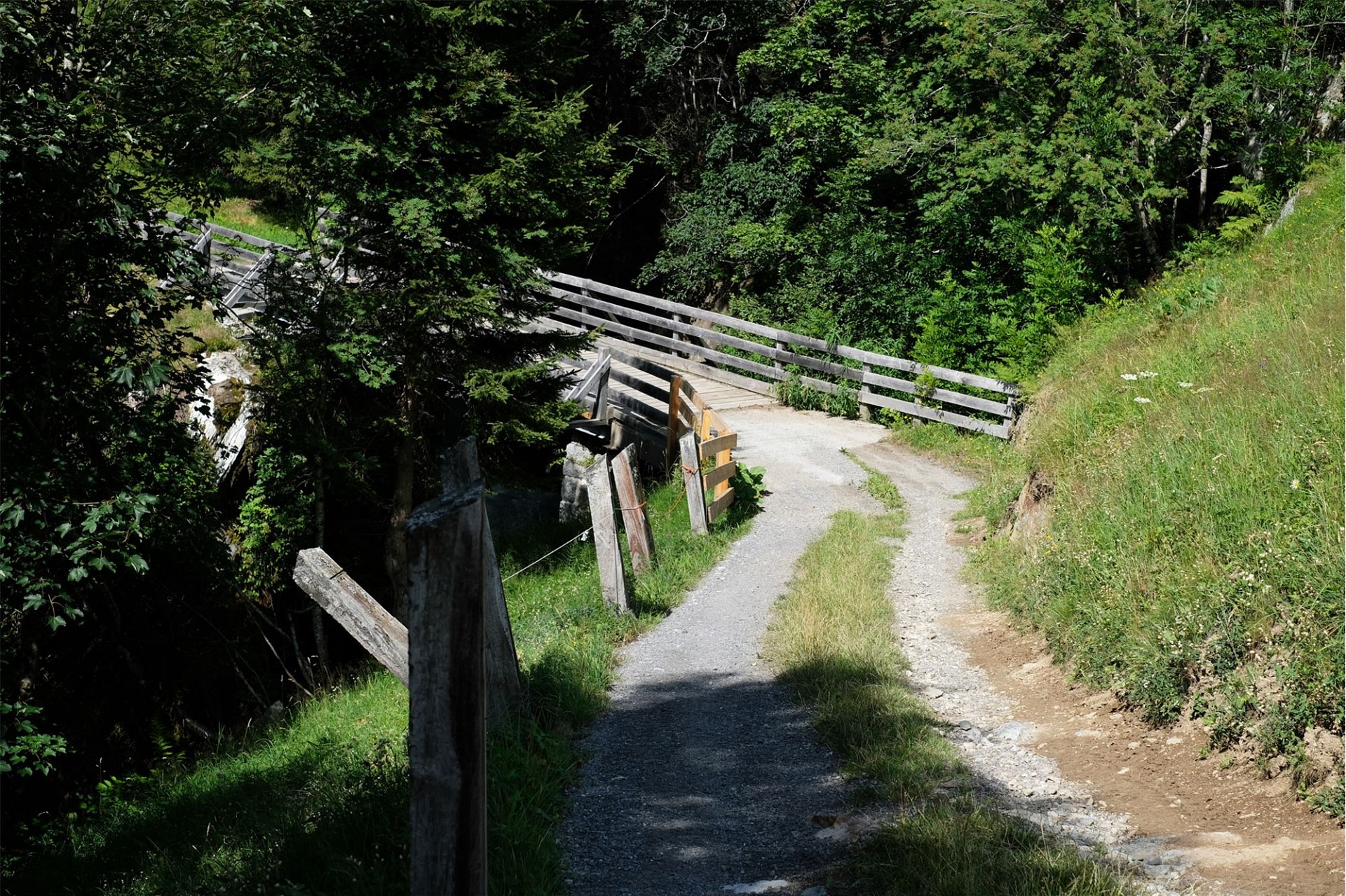 Waldweg mit Holzgeländer