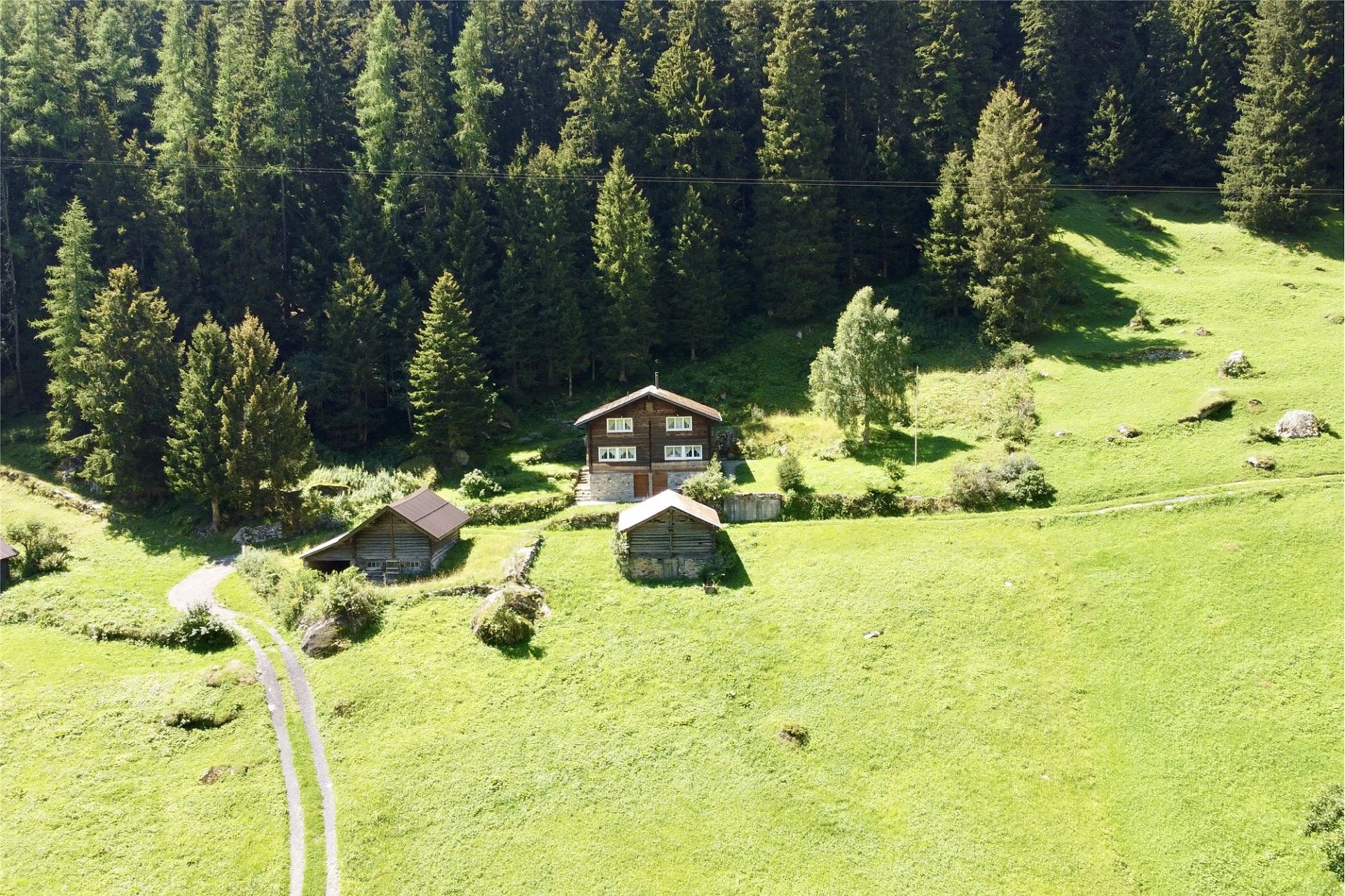 Alpine Hof in grüner Hanglage