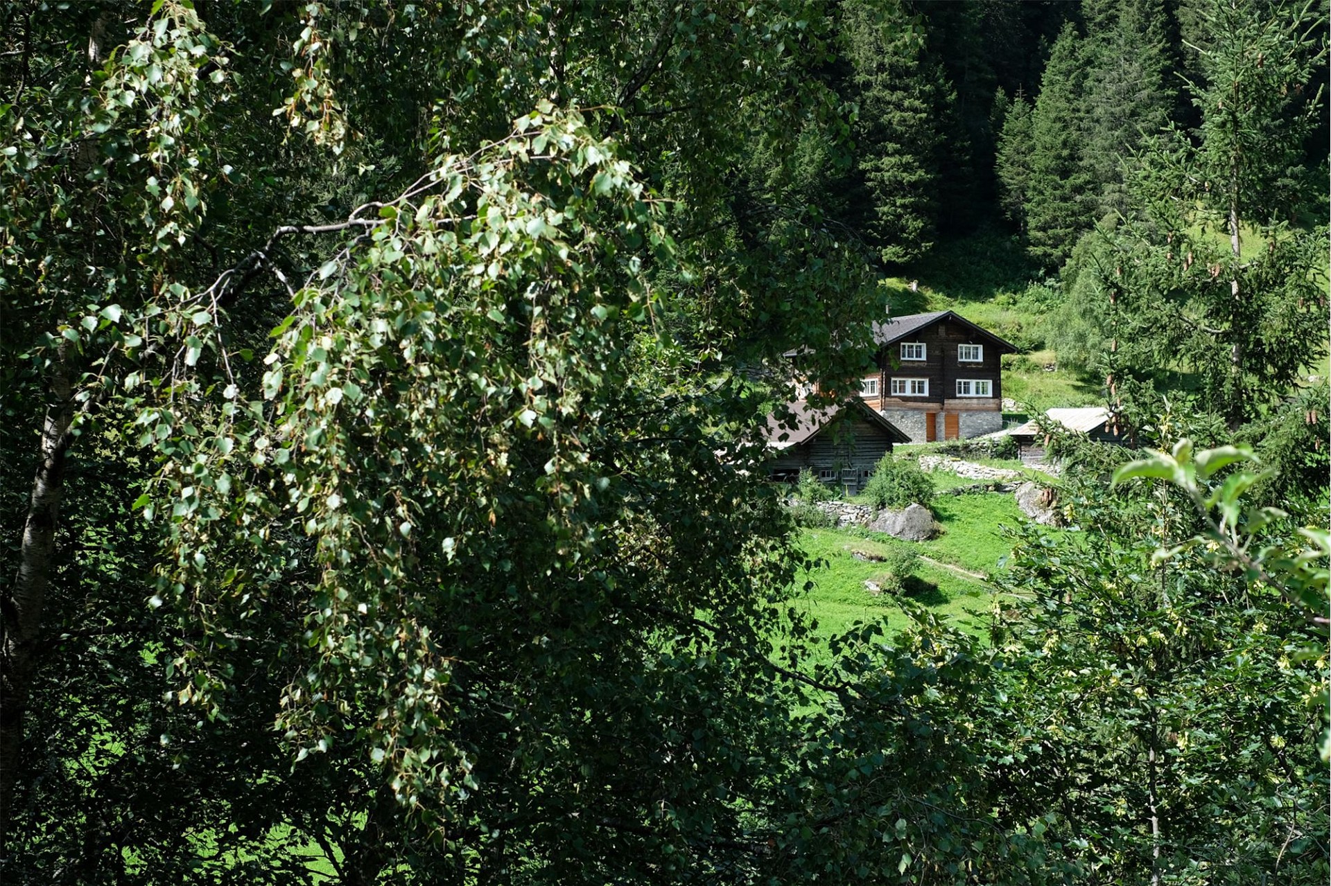 Alpines Ferienhaus im Wald