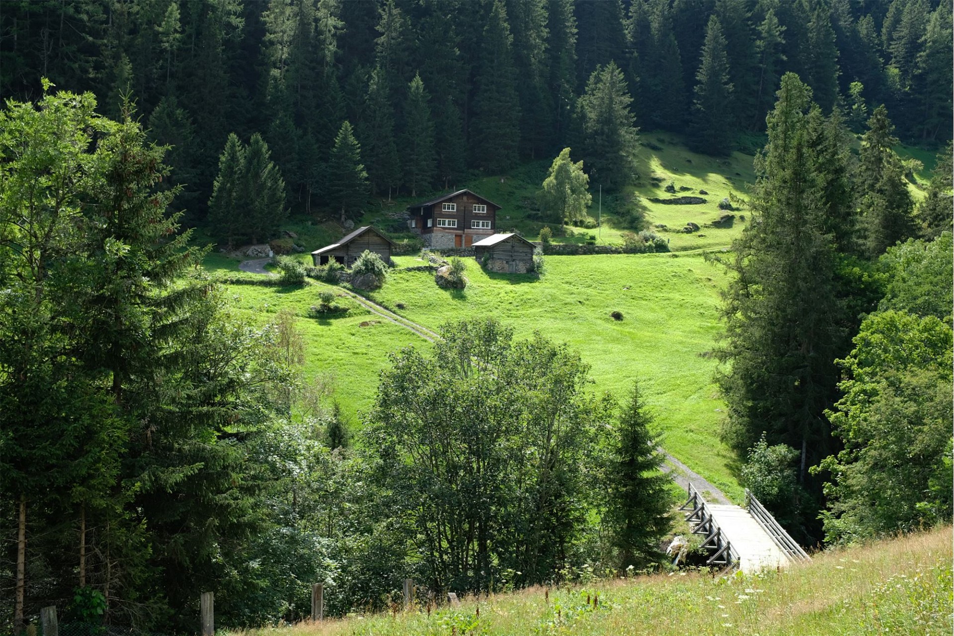 Alpines Anwesen in einer Waldlichtung