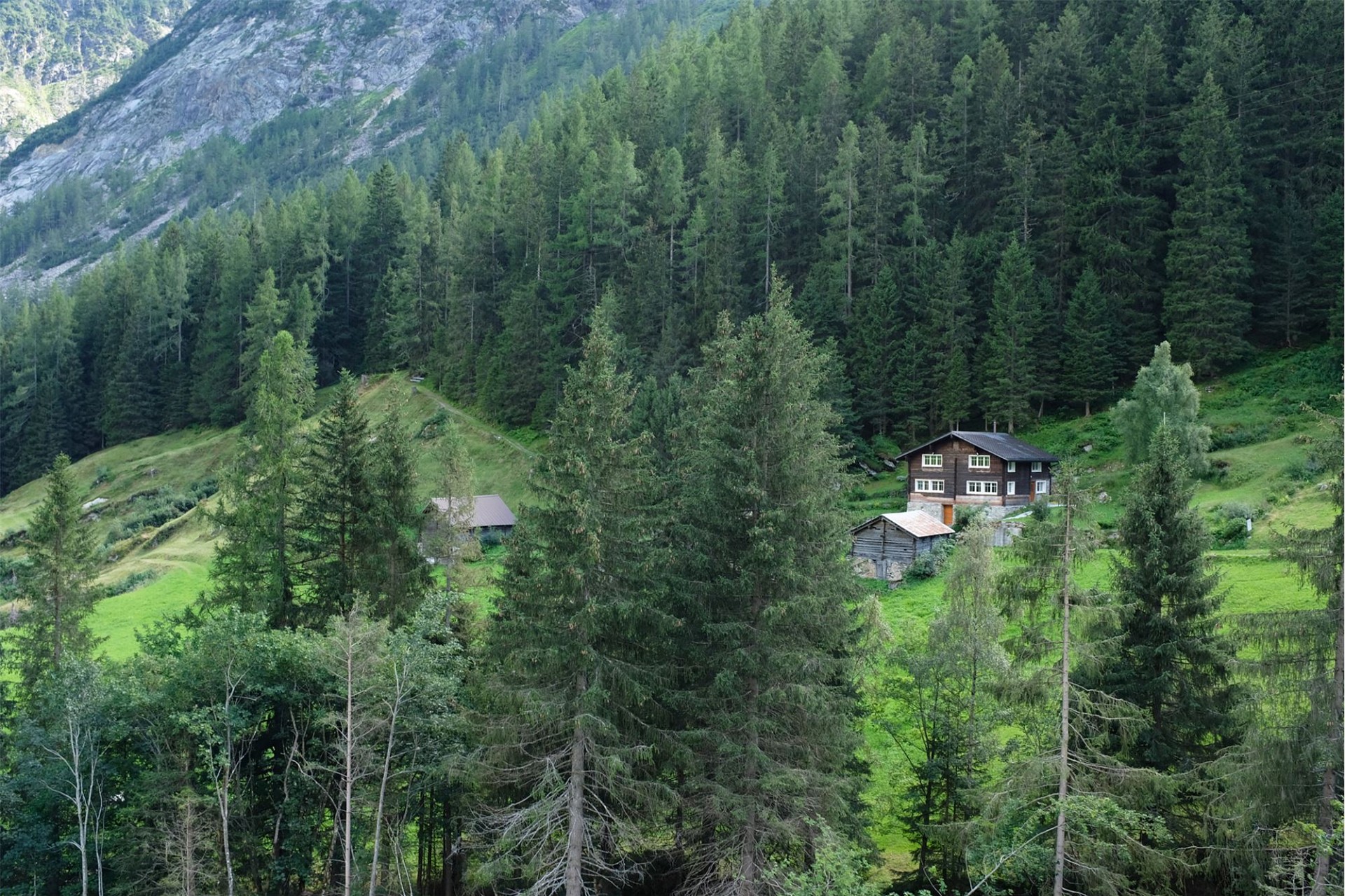 Alpines Berghaus in grüner Waldlandschaft