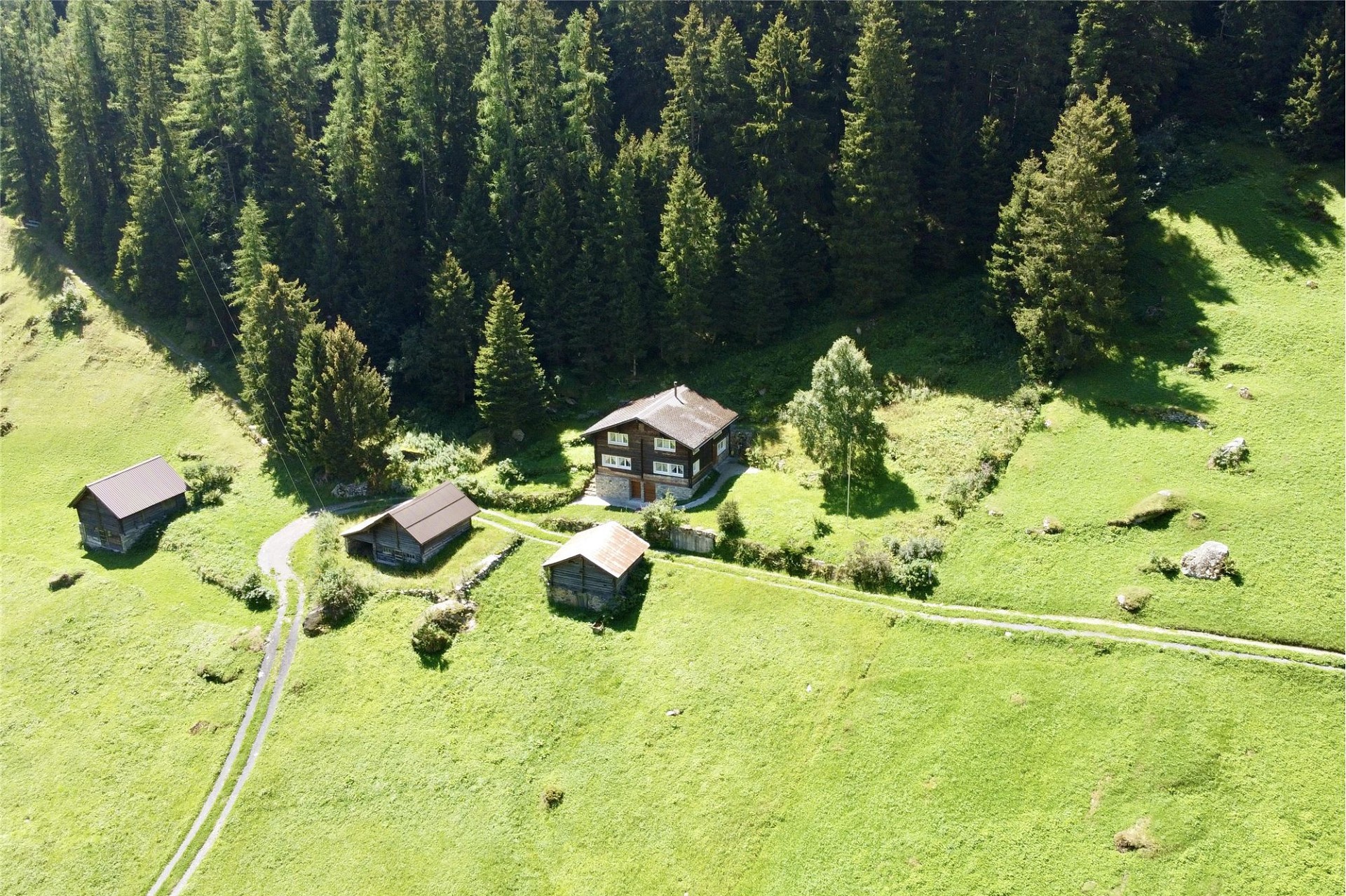 Alpenhof in Waldlichtung