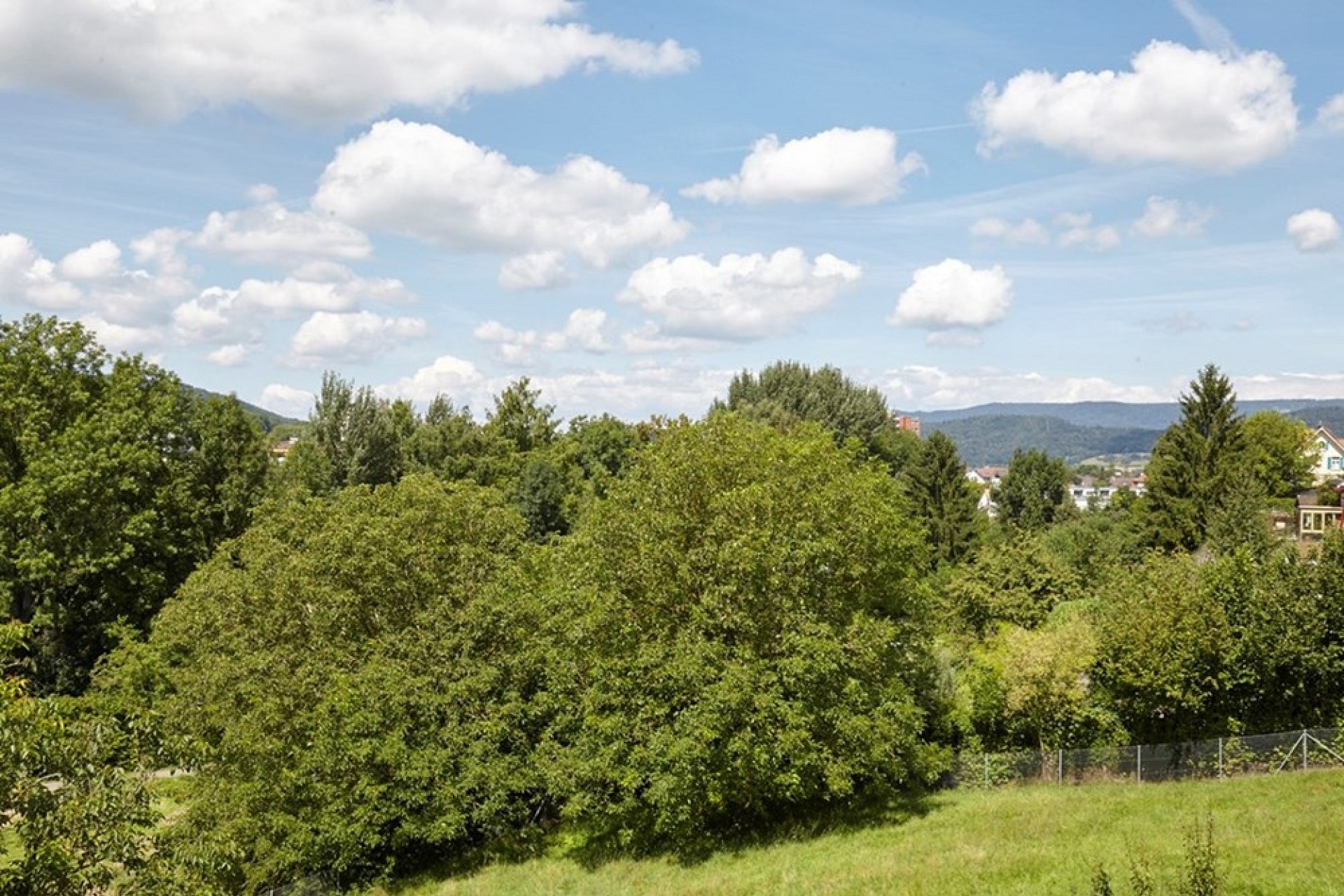 Grüne Landschaft mit weiter Aussicht