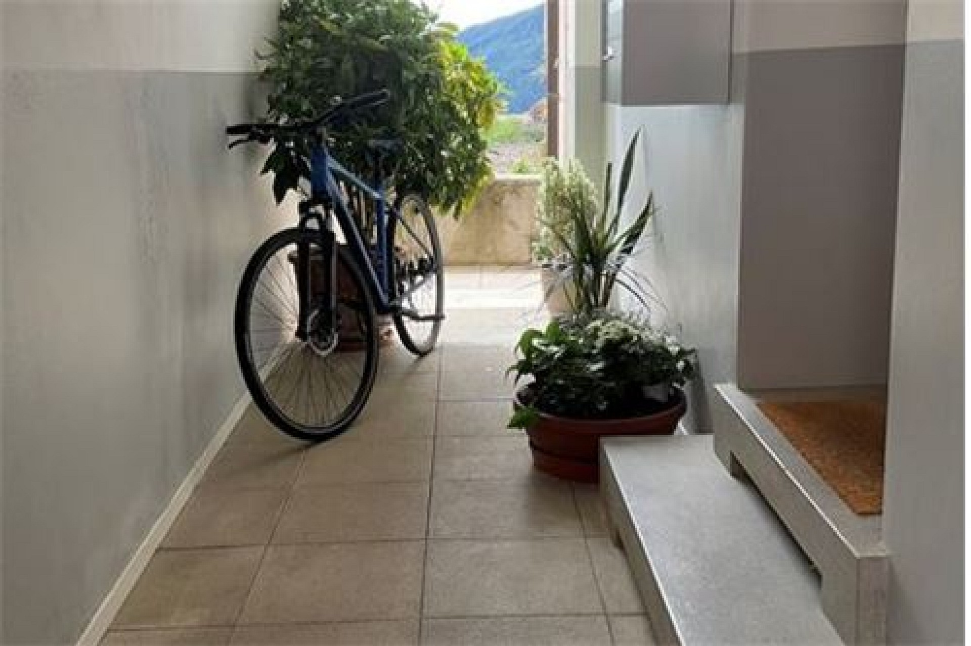 Überdachter Hausflur mit Fahrrad und Pflanzen