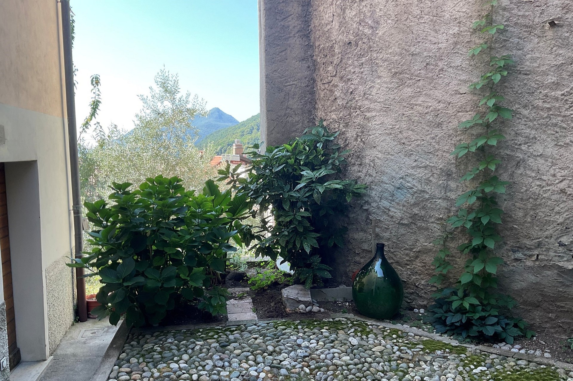 Innenhof mit Pflanzen und Bergblick