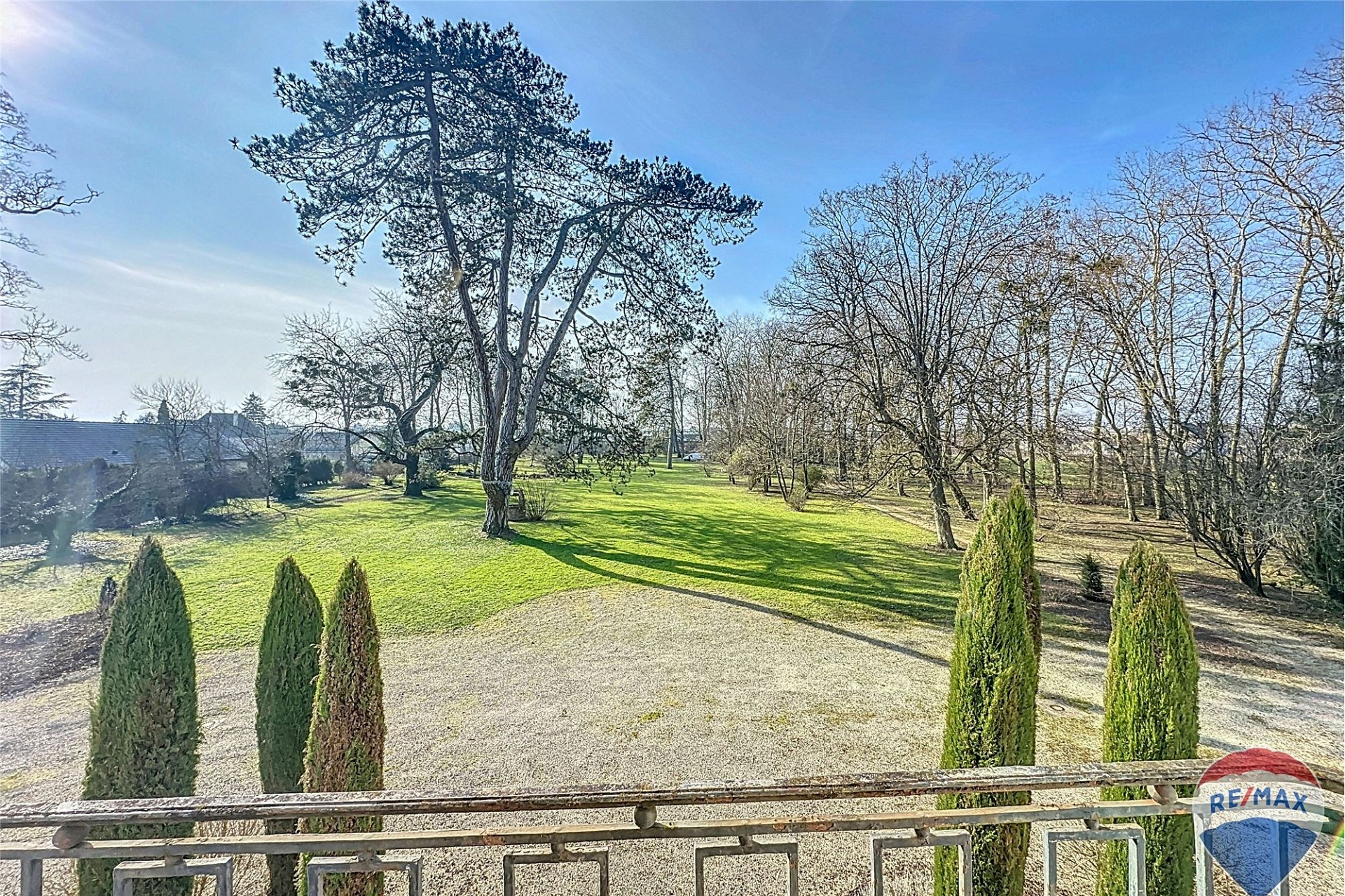 Blick auf großzügigen Garten mit Bäumen