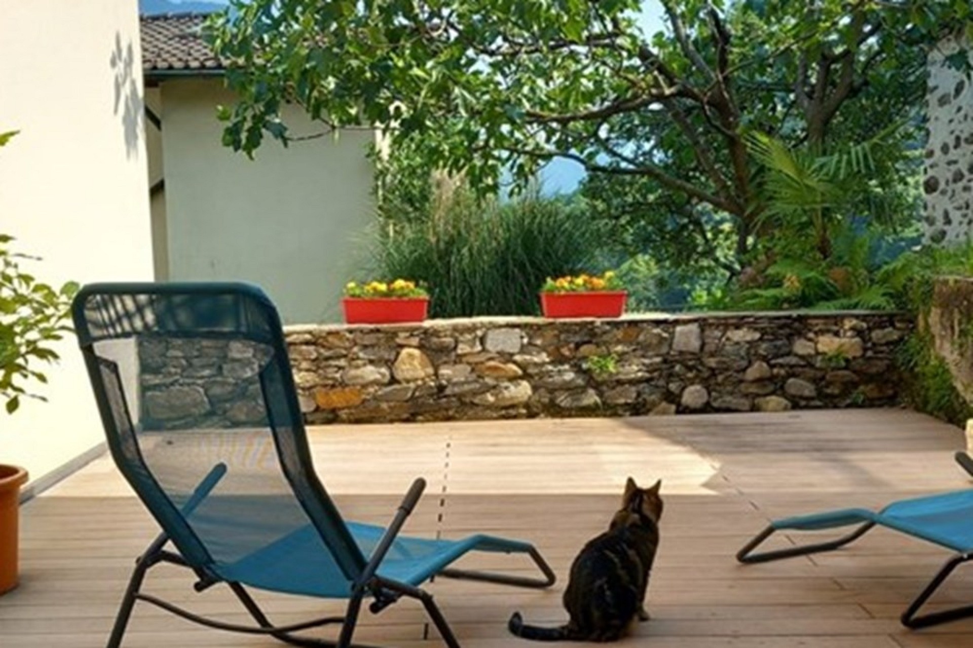 Terrasse mit Blick ins Grüne
