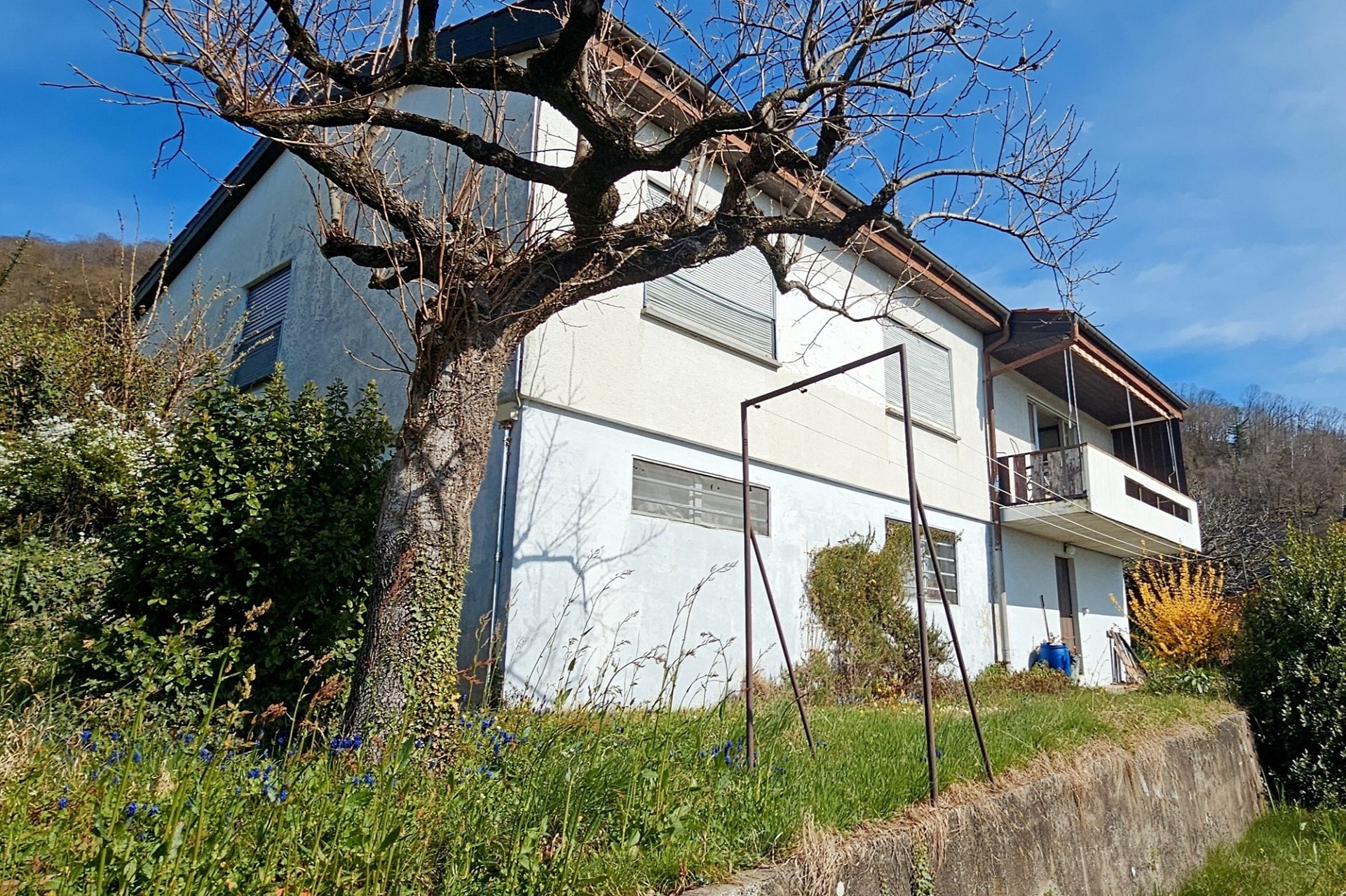 Außenansicht eines Einfamilienhauses mit Garten