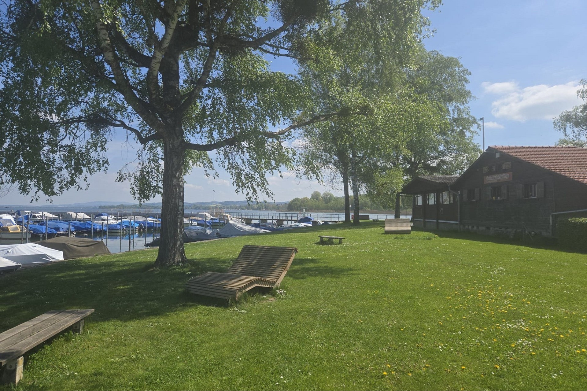 Seeufer mit Liegewiese und Bootsanleger