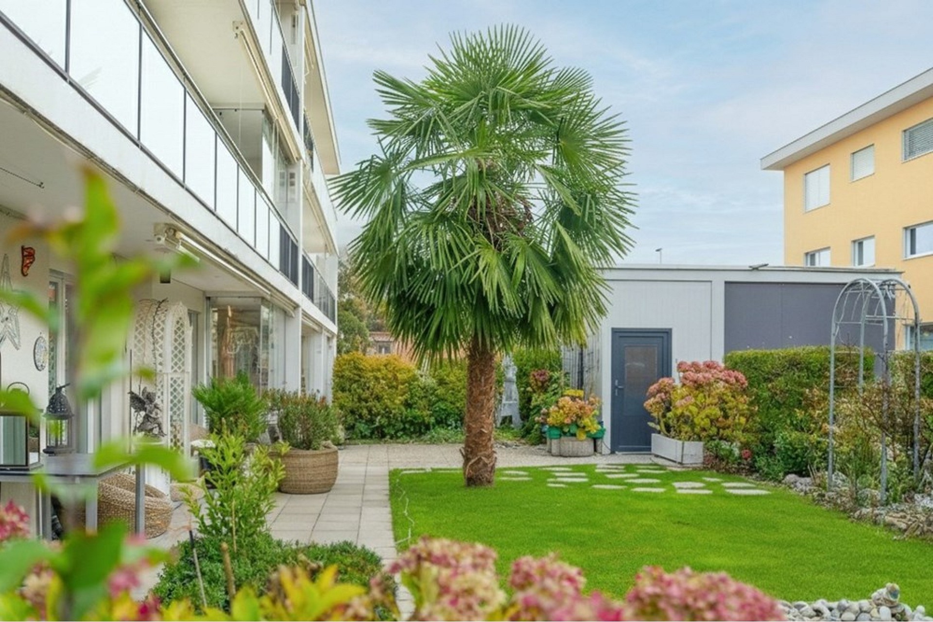 Moderner Innenhof mit Palmbaum und Garten