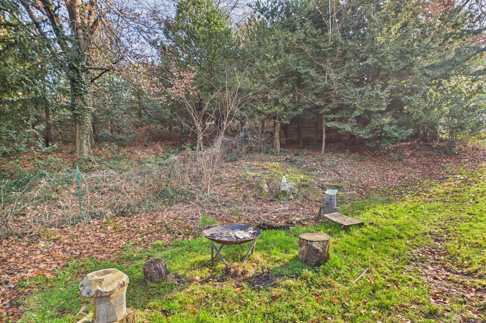 Waldgarten mit Feuerstelle
