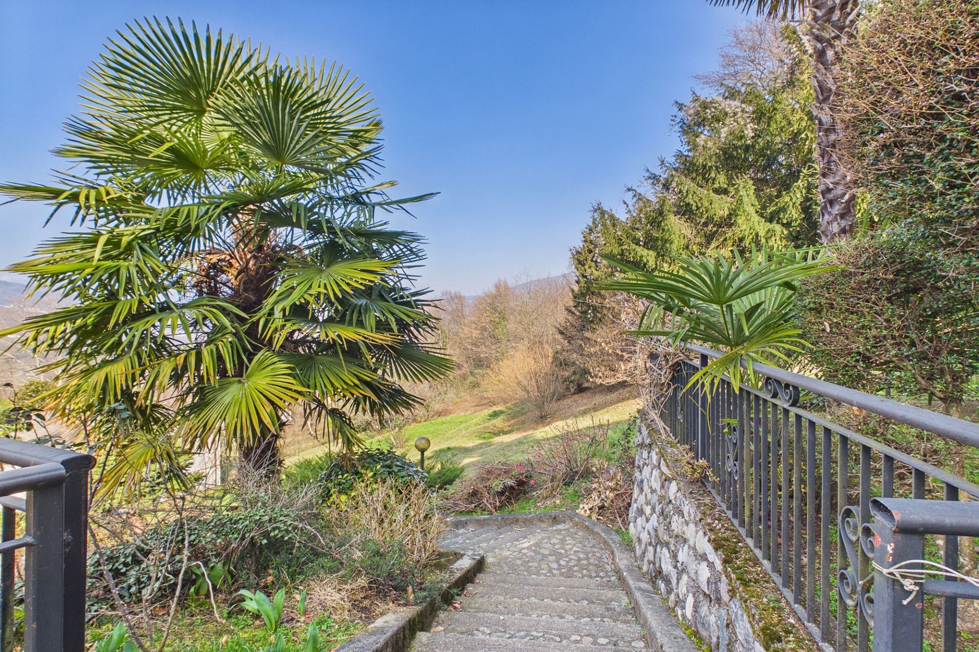 Gartenabgang mit Treppe und Palmen