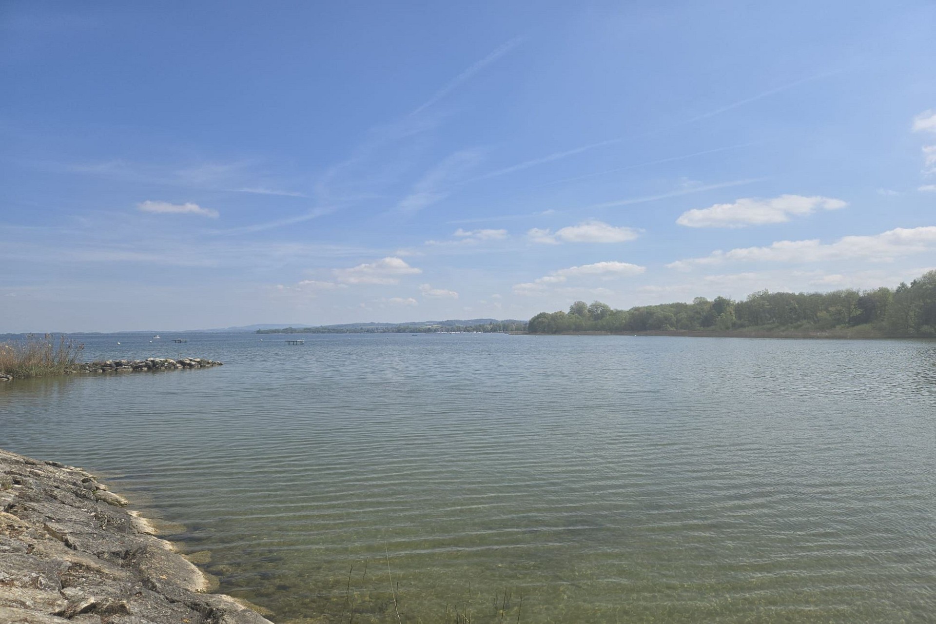 Seeufer mit weiter Wasserfläche