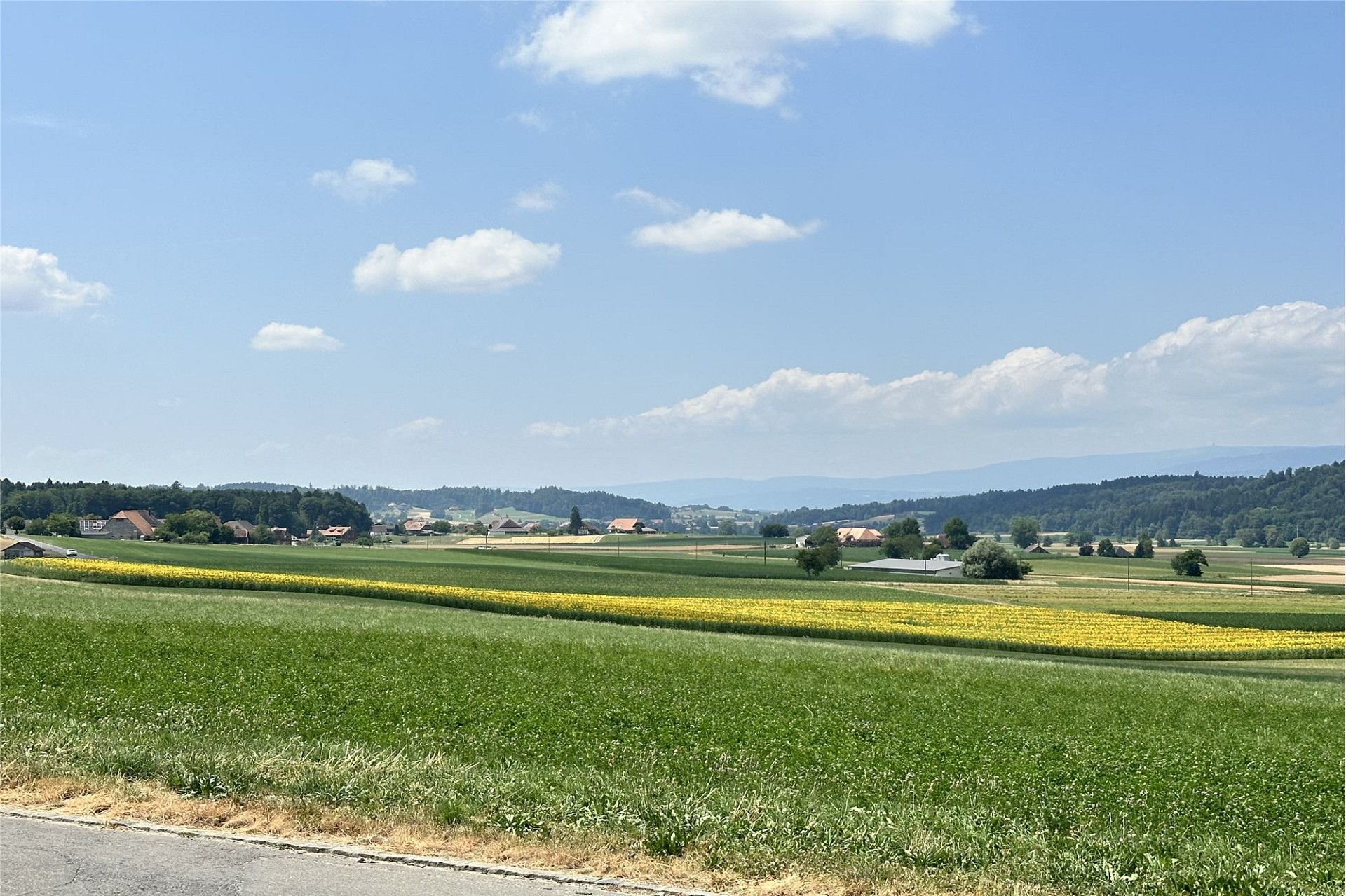 Landschaft mit Feldern und Dorfpanorama