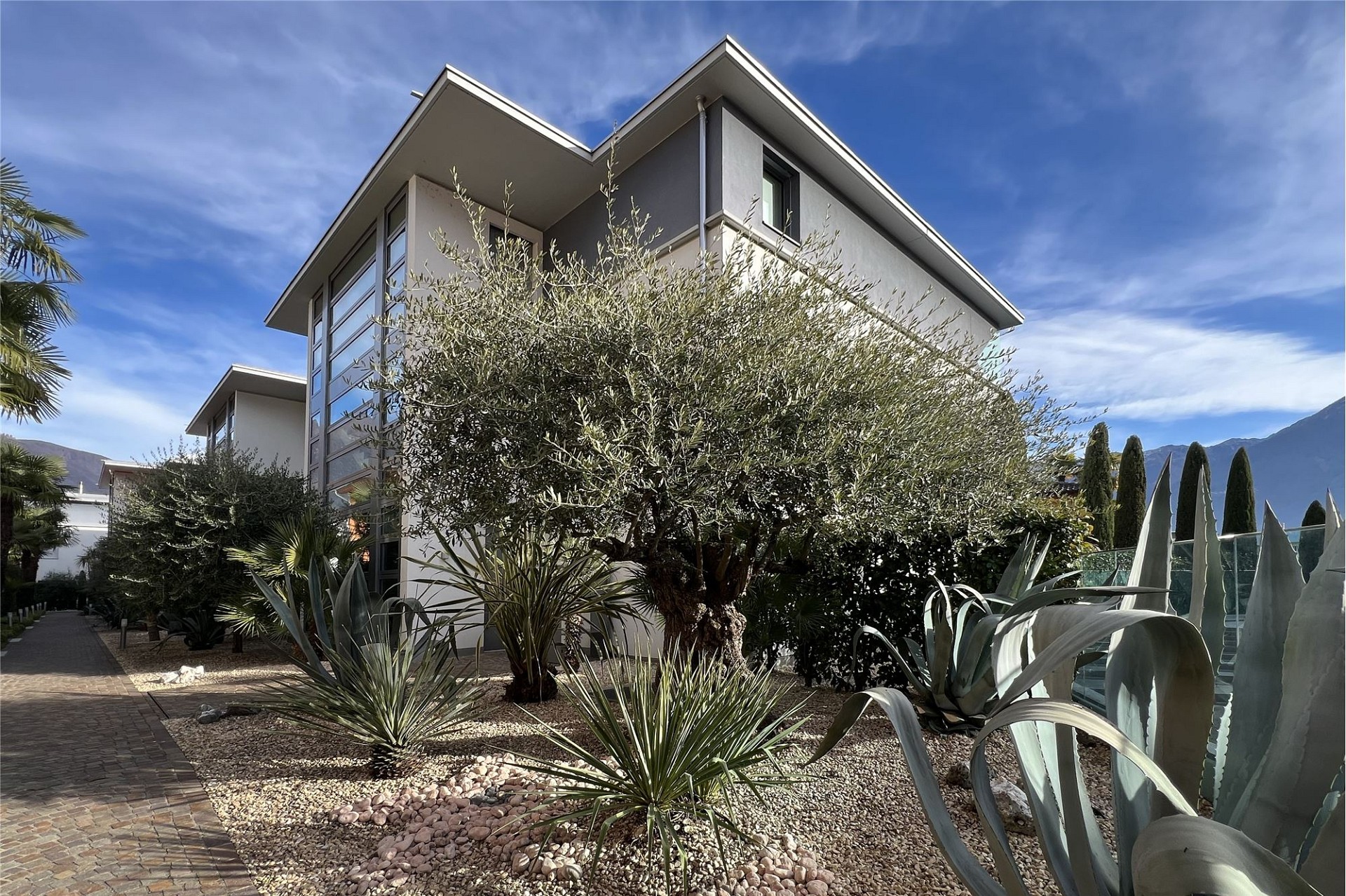 Modernes Haus mit mediterranem Garten