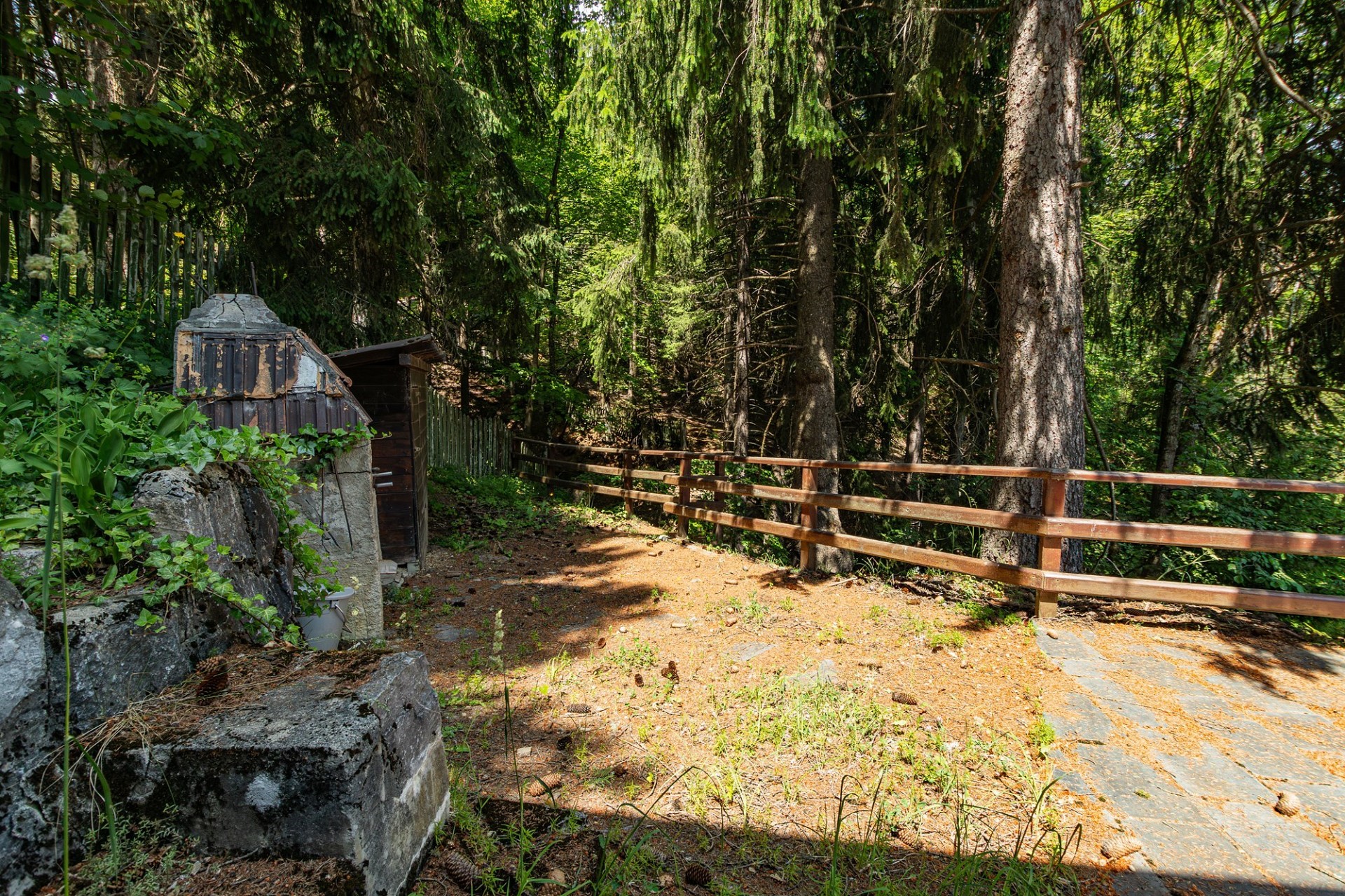 Waldweg mit Gartenzaun