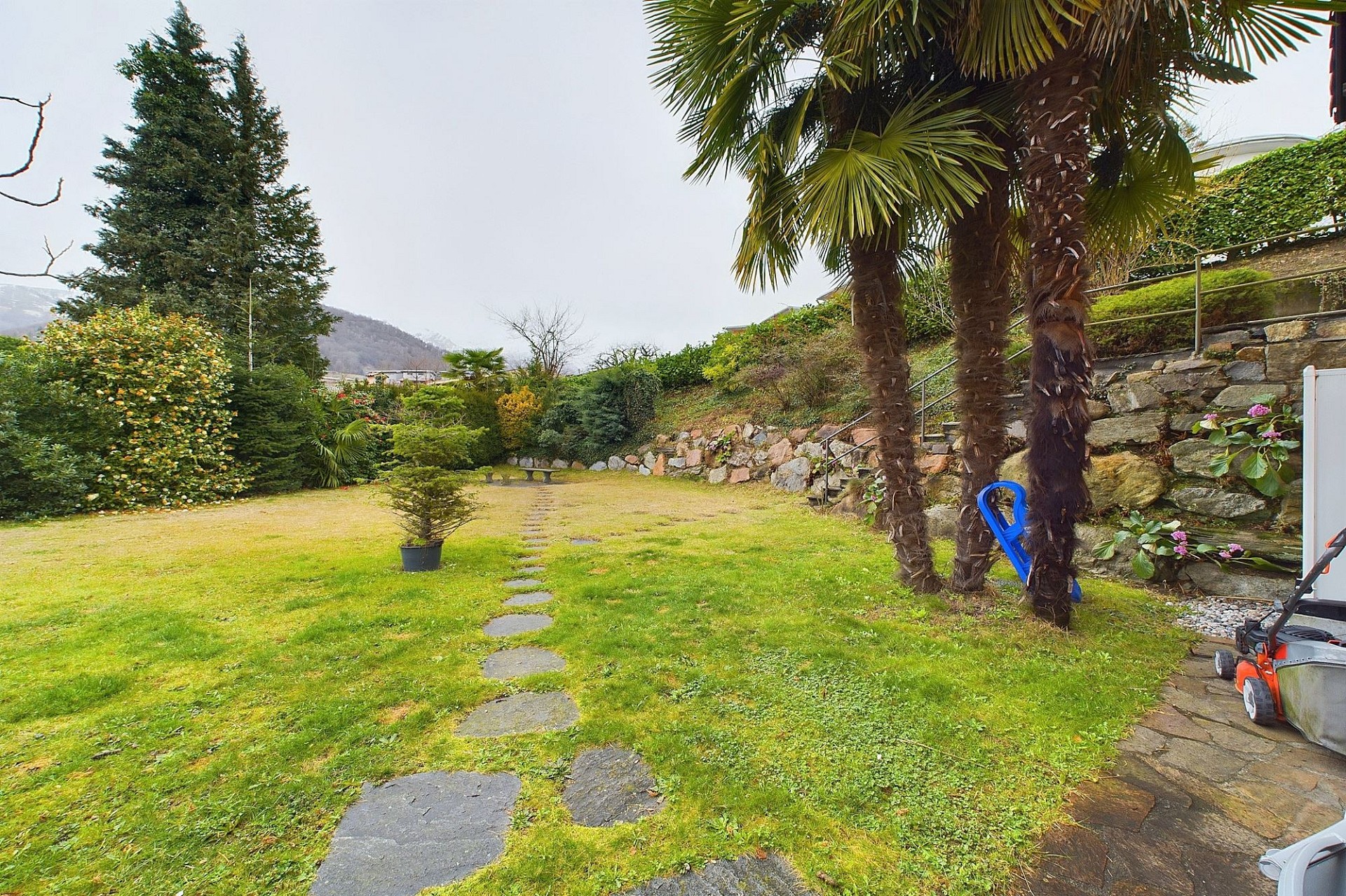 Großer Garten mit Palmen und Steinweg