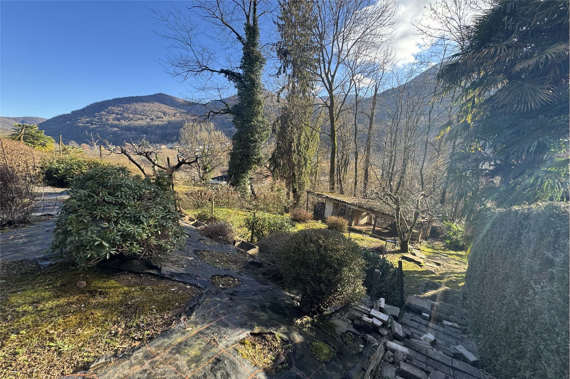 Blick in einen hügeligen Garten mit Bergkulisse
