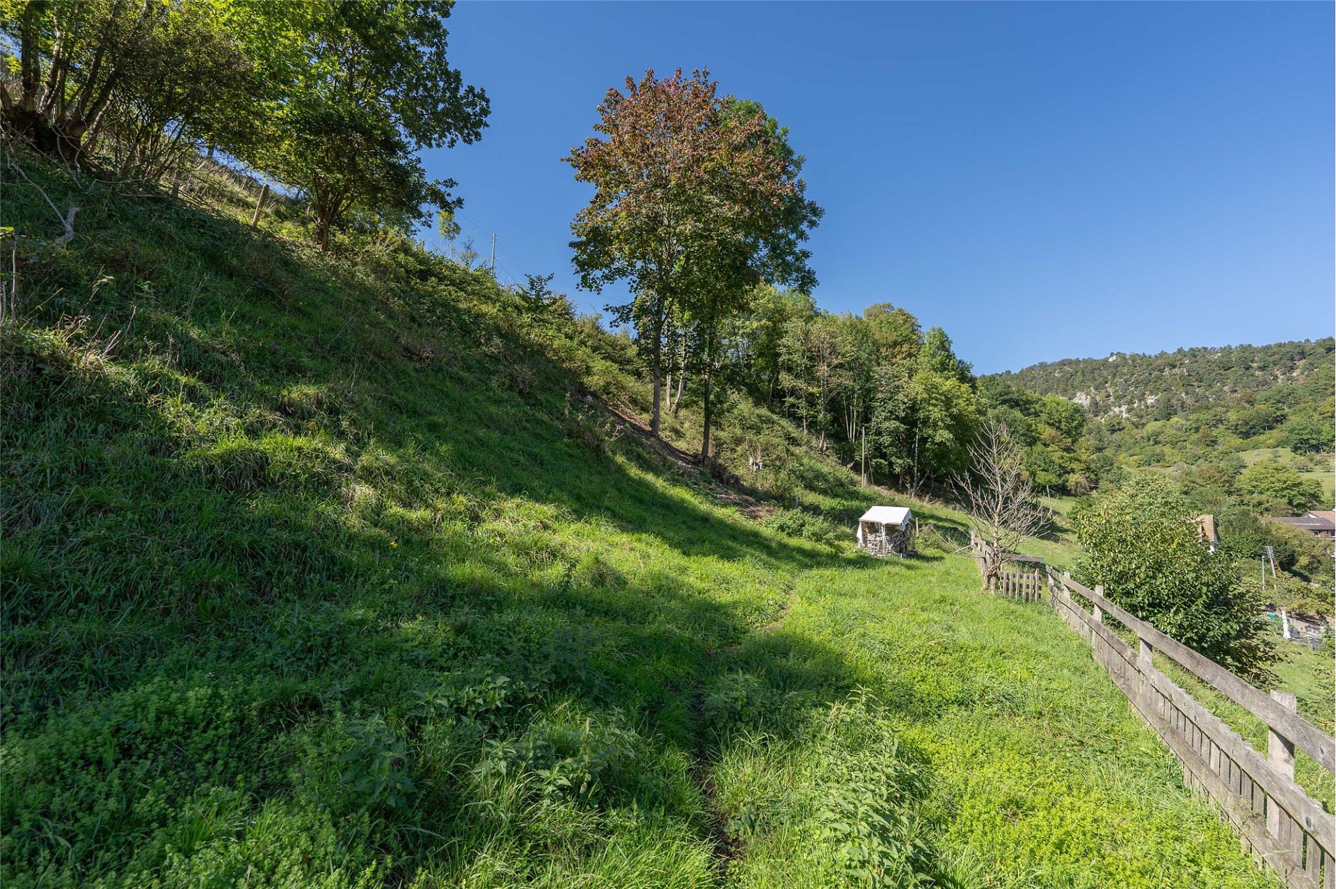Grüne Hanglage mit weitem Landschaftsblick