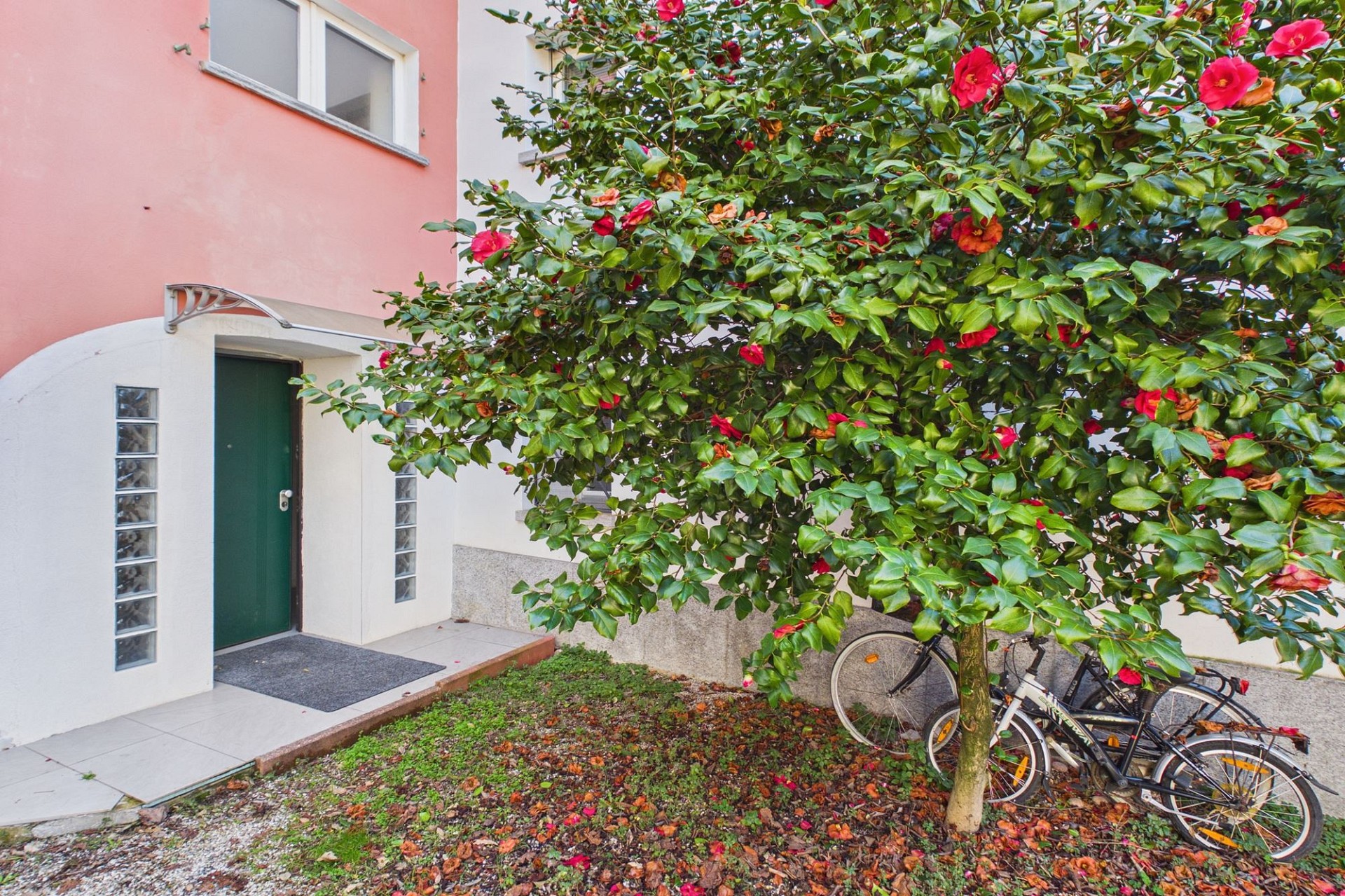Hauszugang mit Garten und Fahrrad